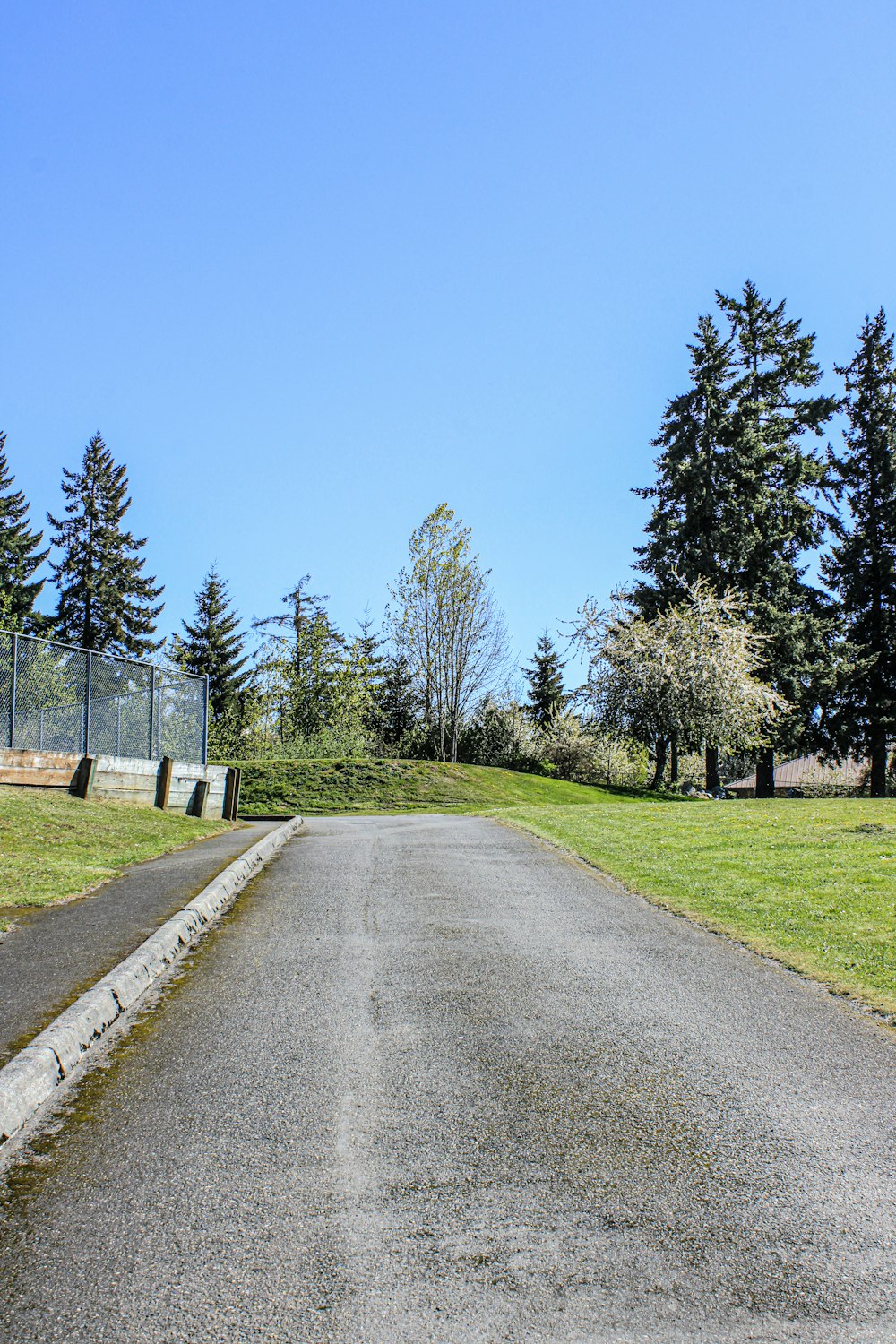 an empty road with a fence and trees in the background