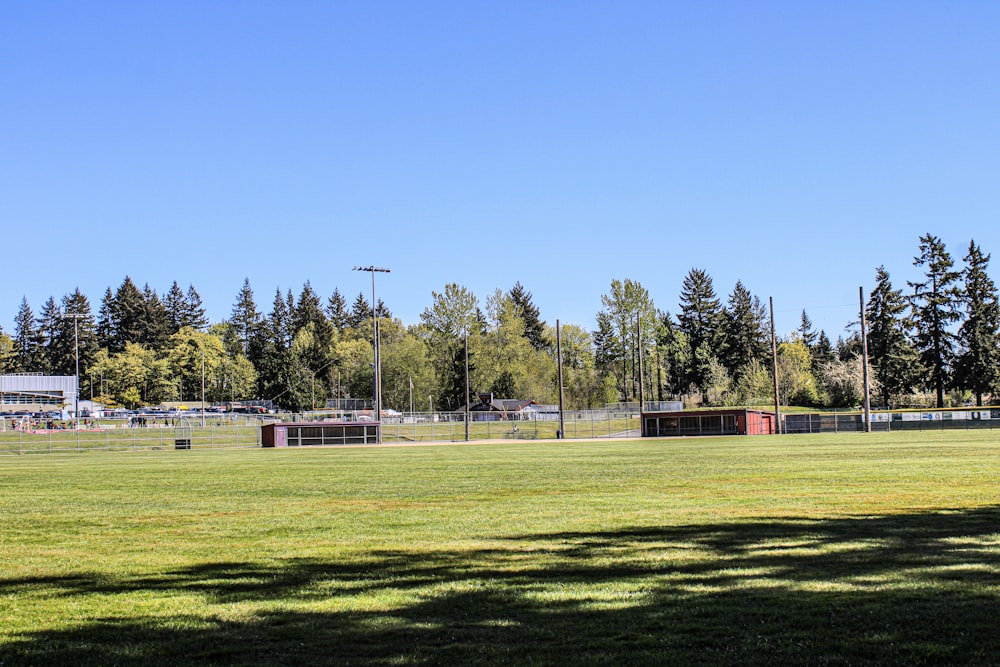 a baseball field with trees in the background