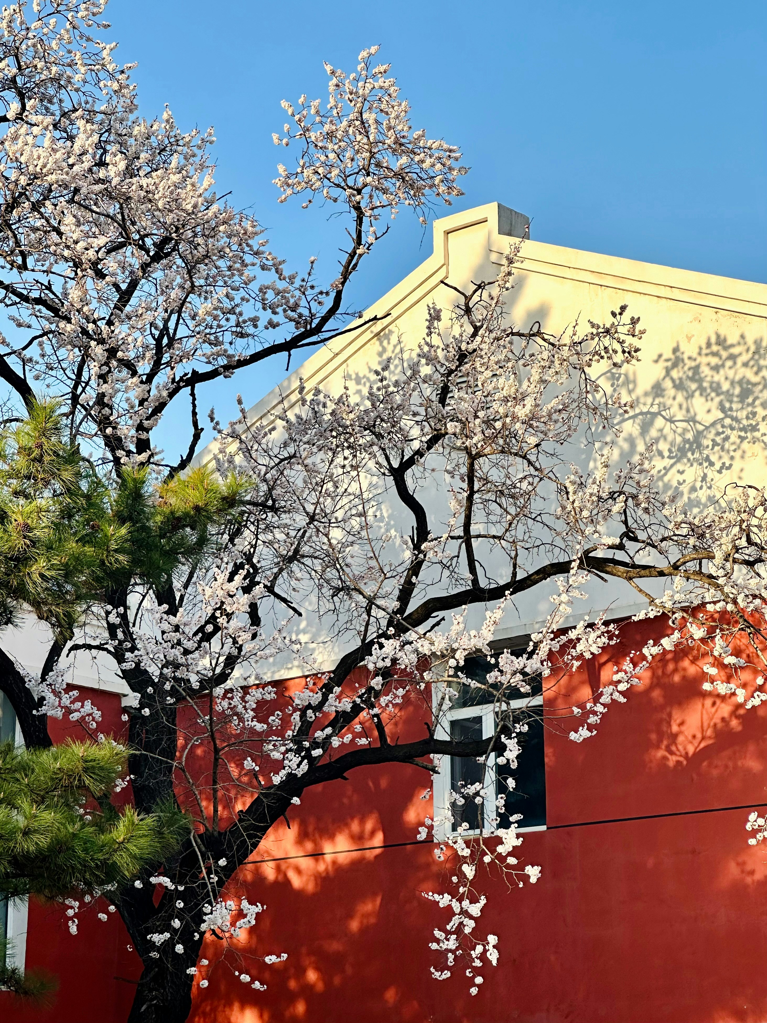 Photo by jiahaoliang