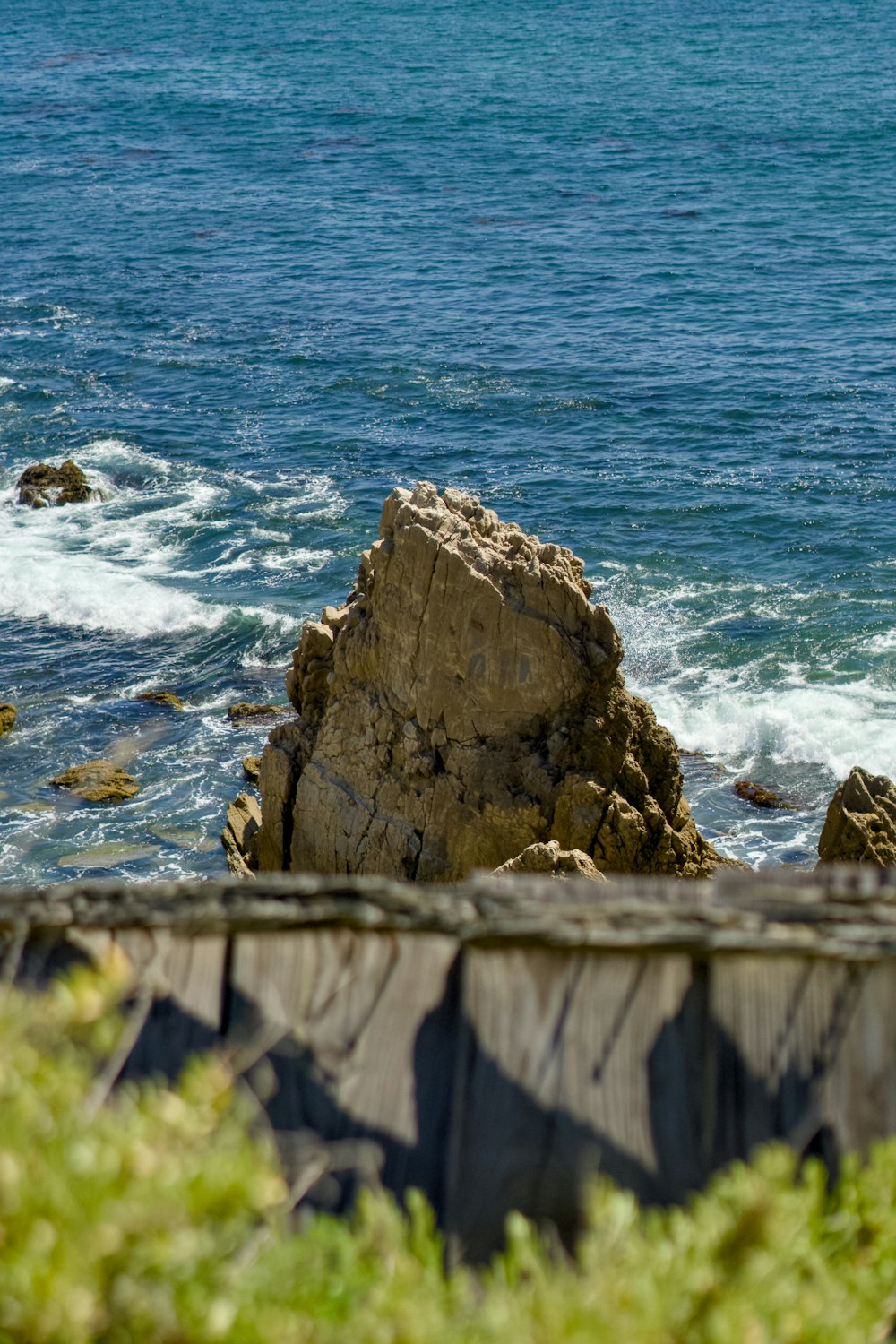 a bird sitting on a rock near the ocean