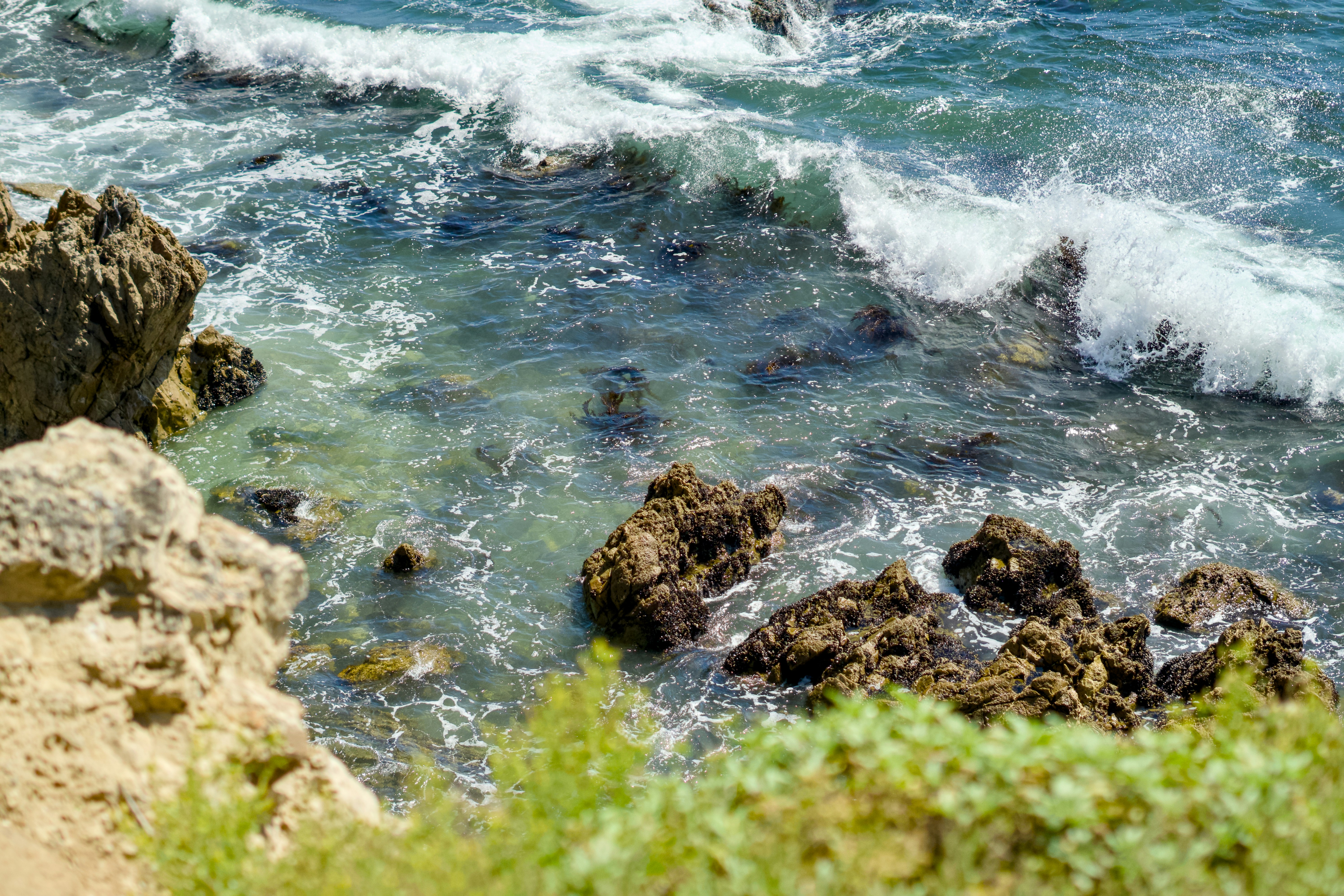 Photo by spencer_demera