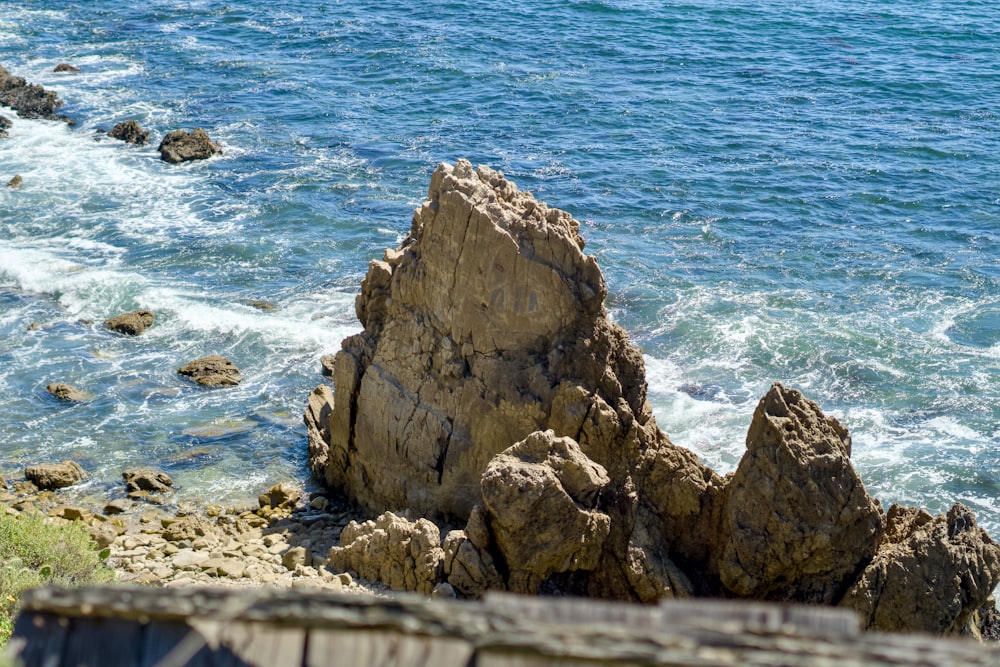 a bird sitting on a rock near the ocean