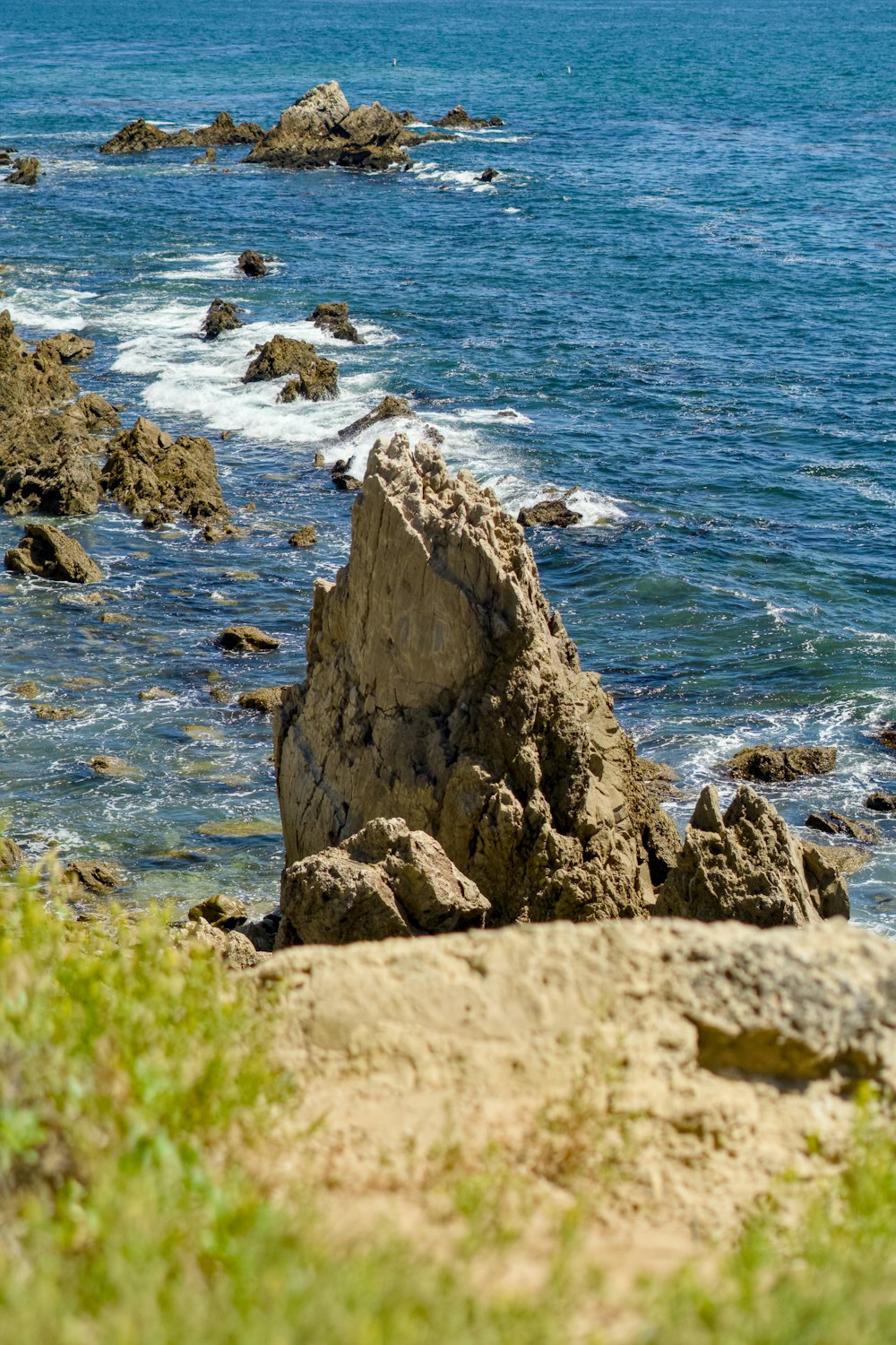 a bird sitting on top of a rock near the ocean