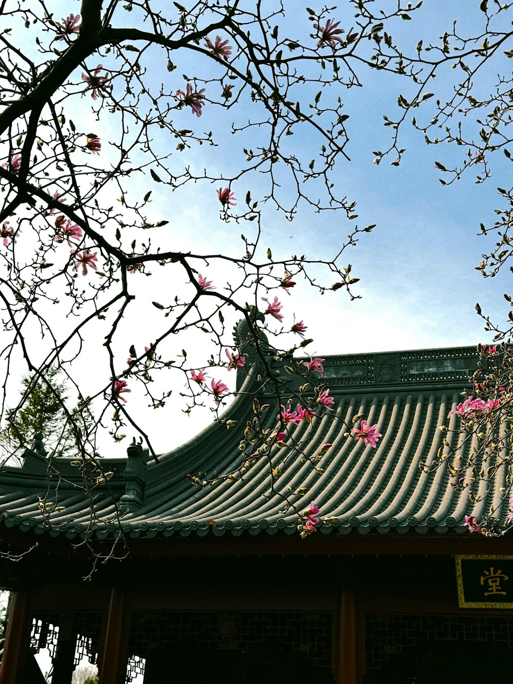 the roof of a building with pink flowers on it