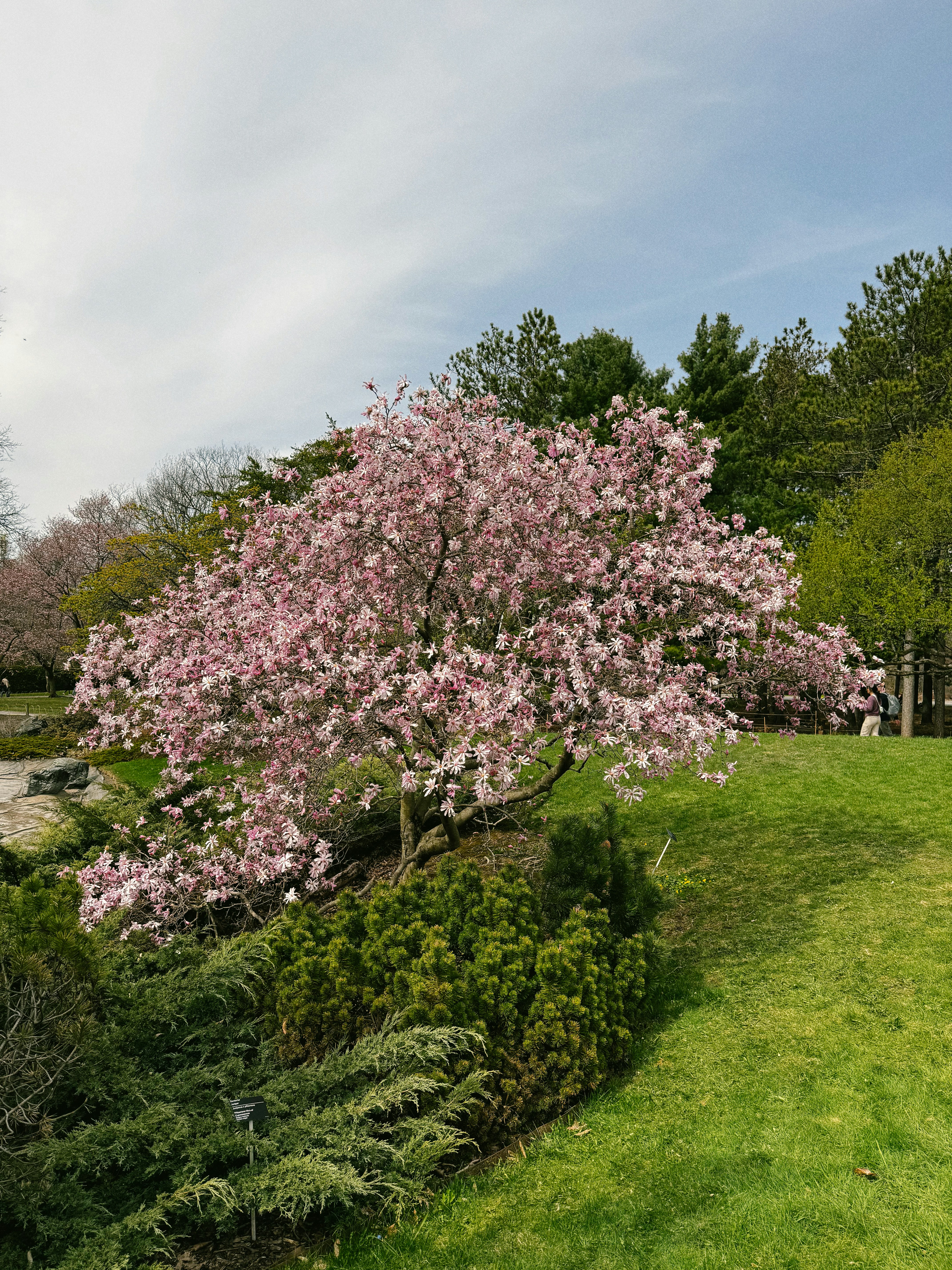 Photo by alexandra_a__