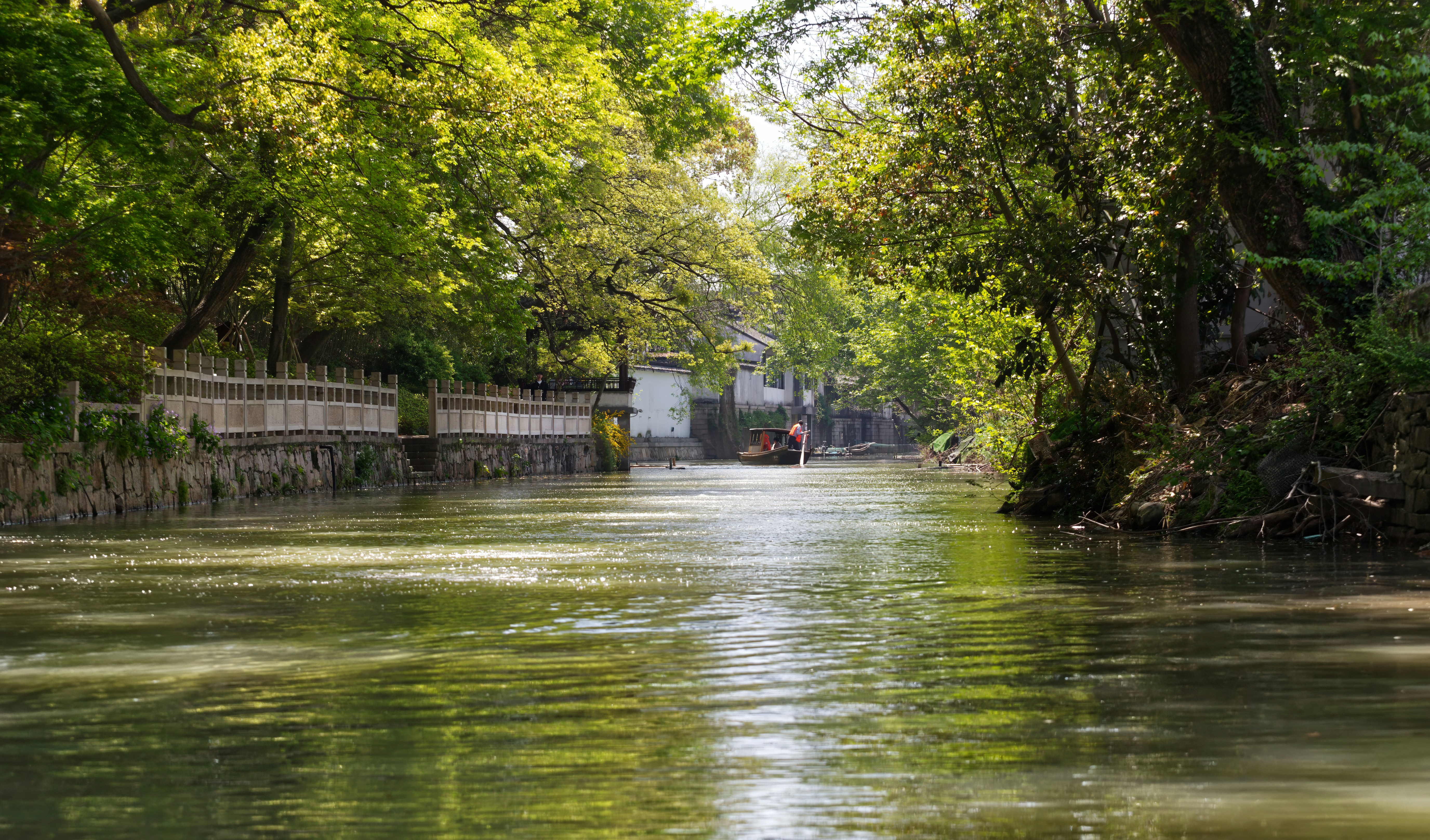 Photo by bullterriere