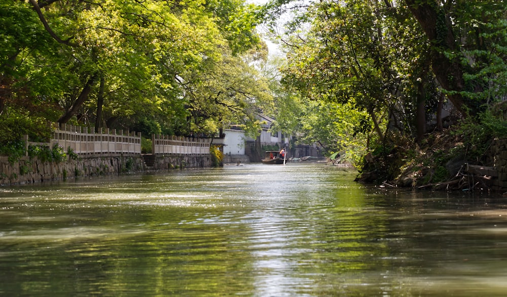 a boat traveling down a river next to a lush green forest