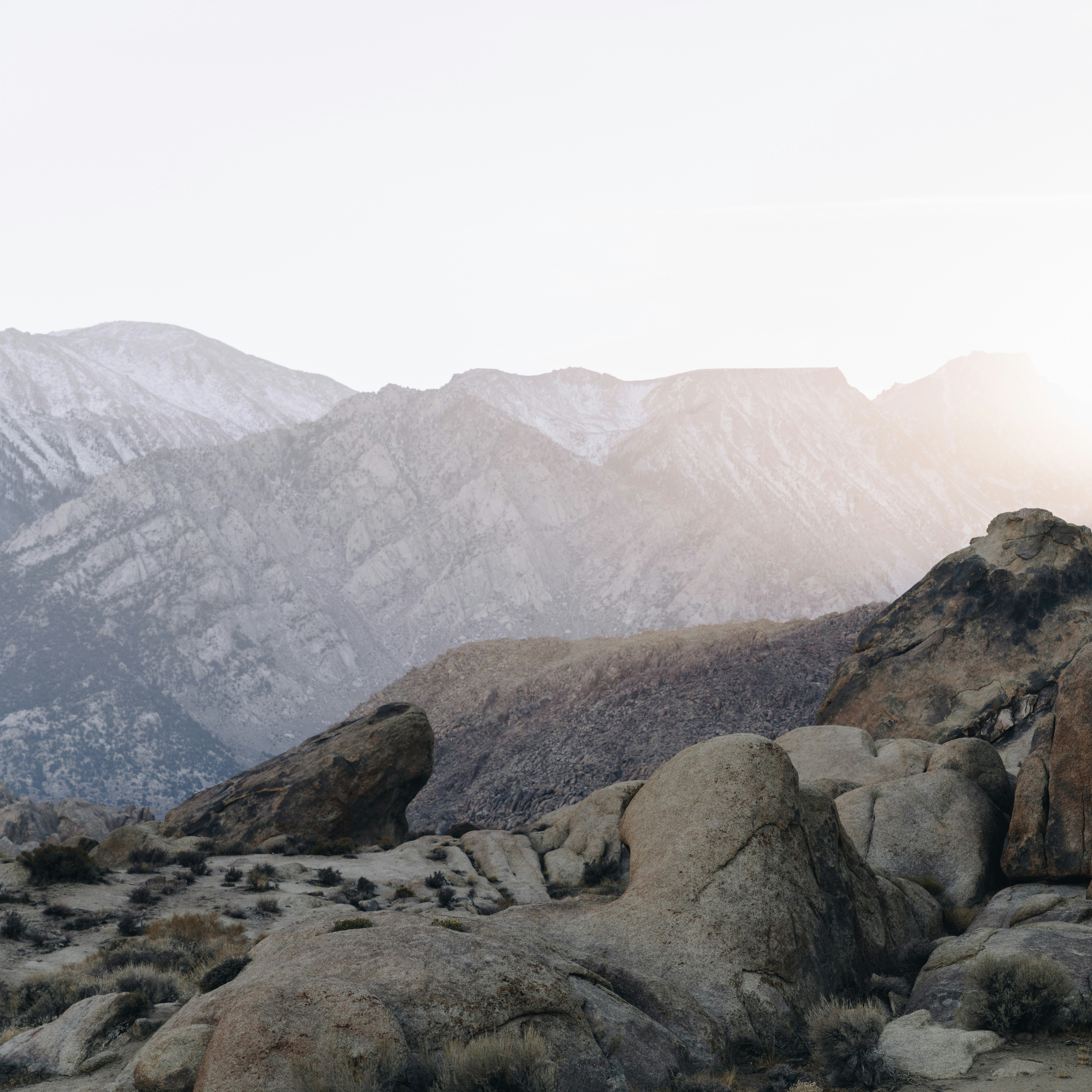 Photo by bradley_stell