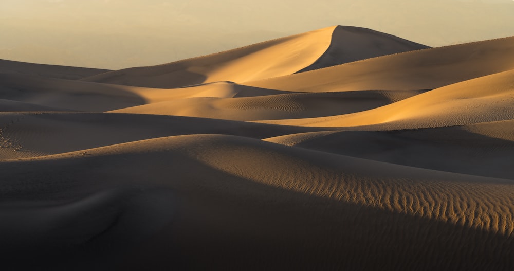 a group of sand dunes in the desert