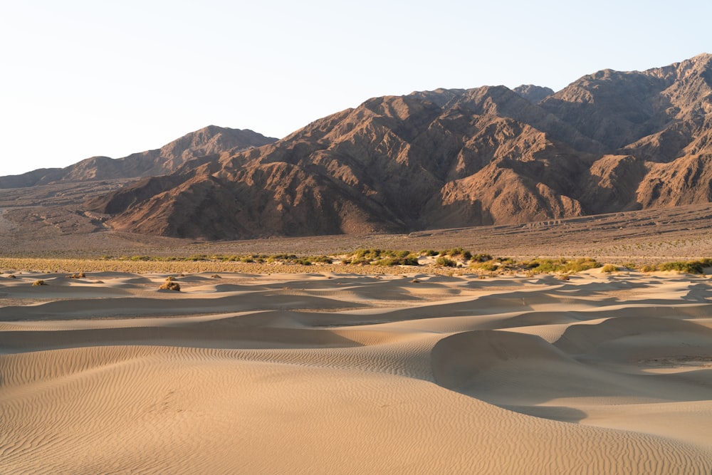 a desert with a mountain range in the background