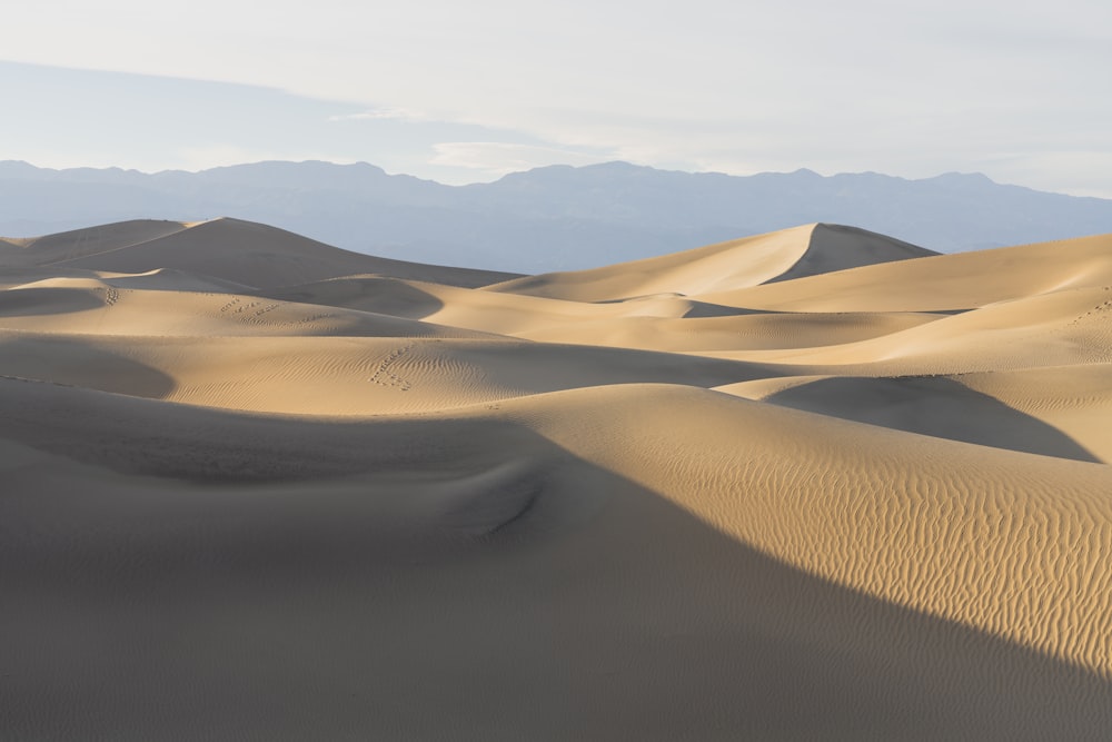 a large group of sand dunes with mountains in the background