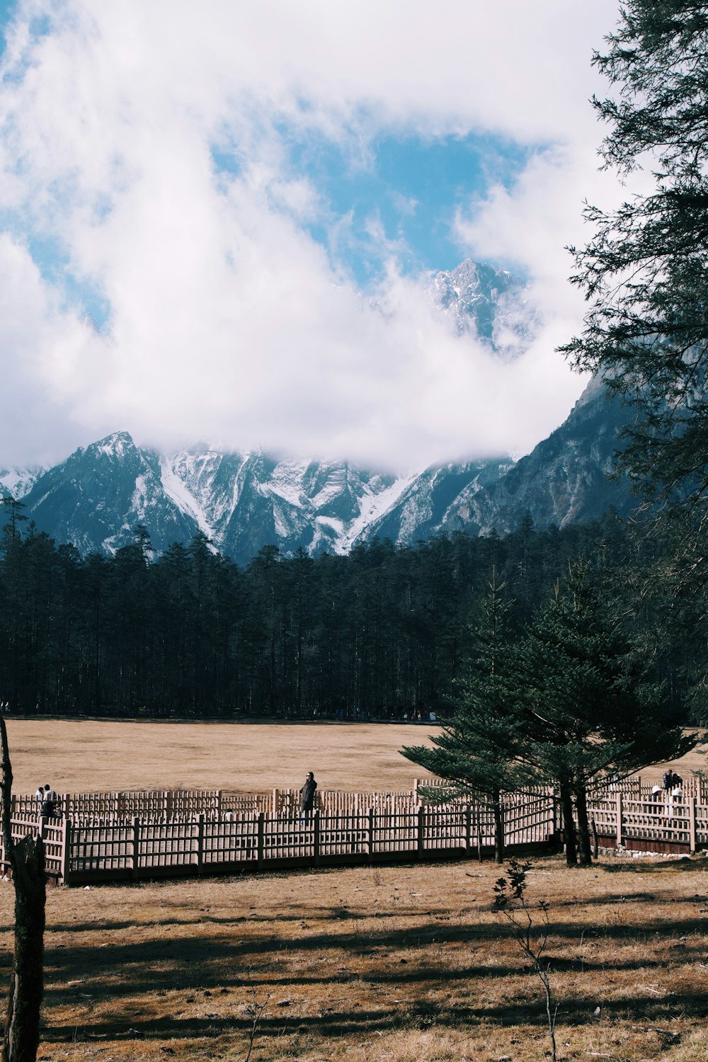 a field with a fence and mountains in the background