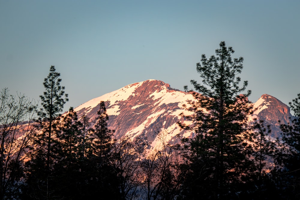 a snow covered mountain with trees in the foreground