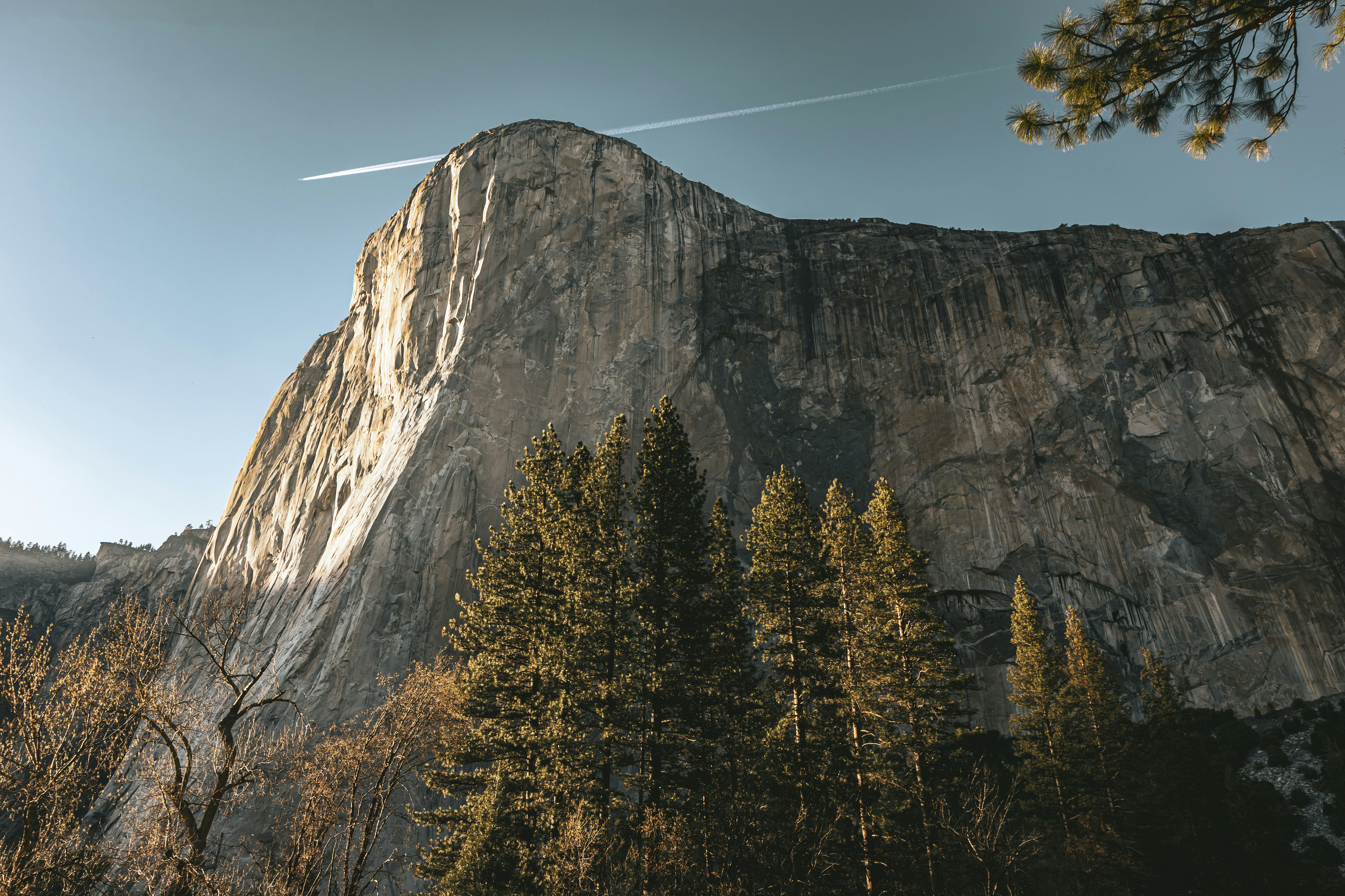 Photo by brice_cooper18