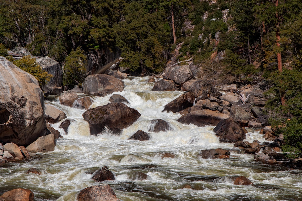 a man standing on a rock in the middle of a river