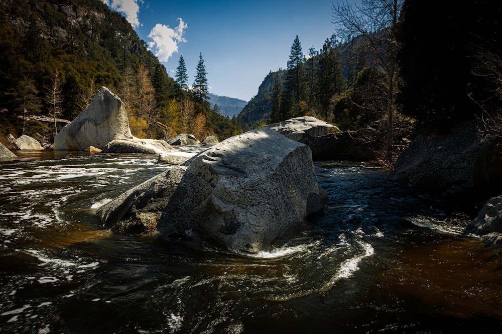 a river with rocks in the middle of it