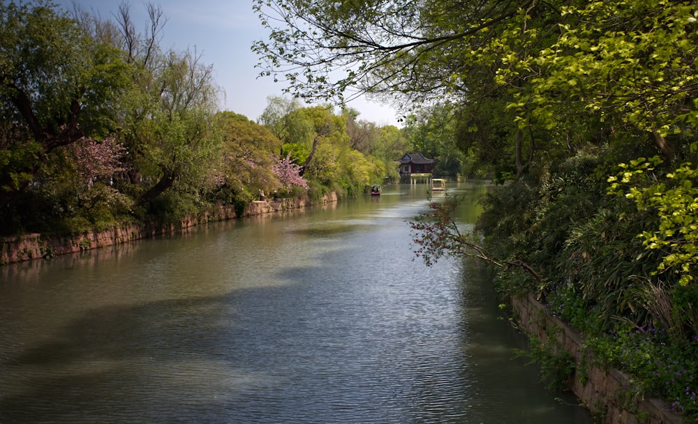 a river running through a lush green forest