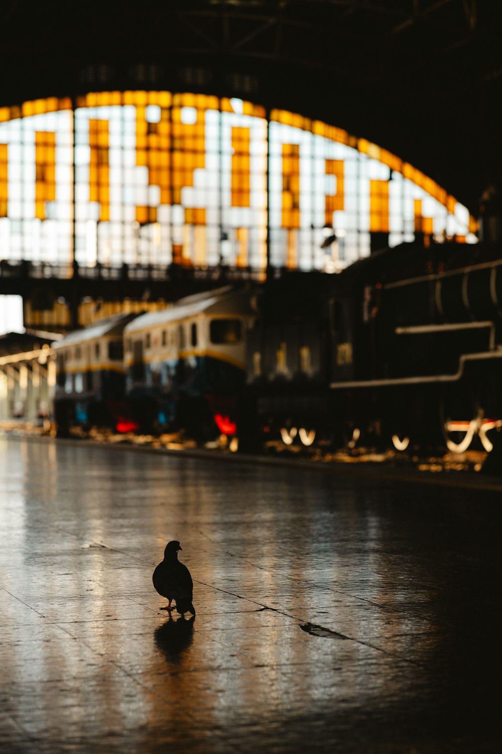 a bird sitting on the floor of a train station