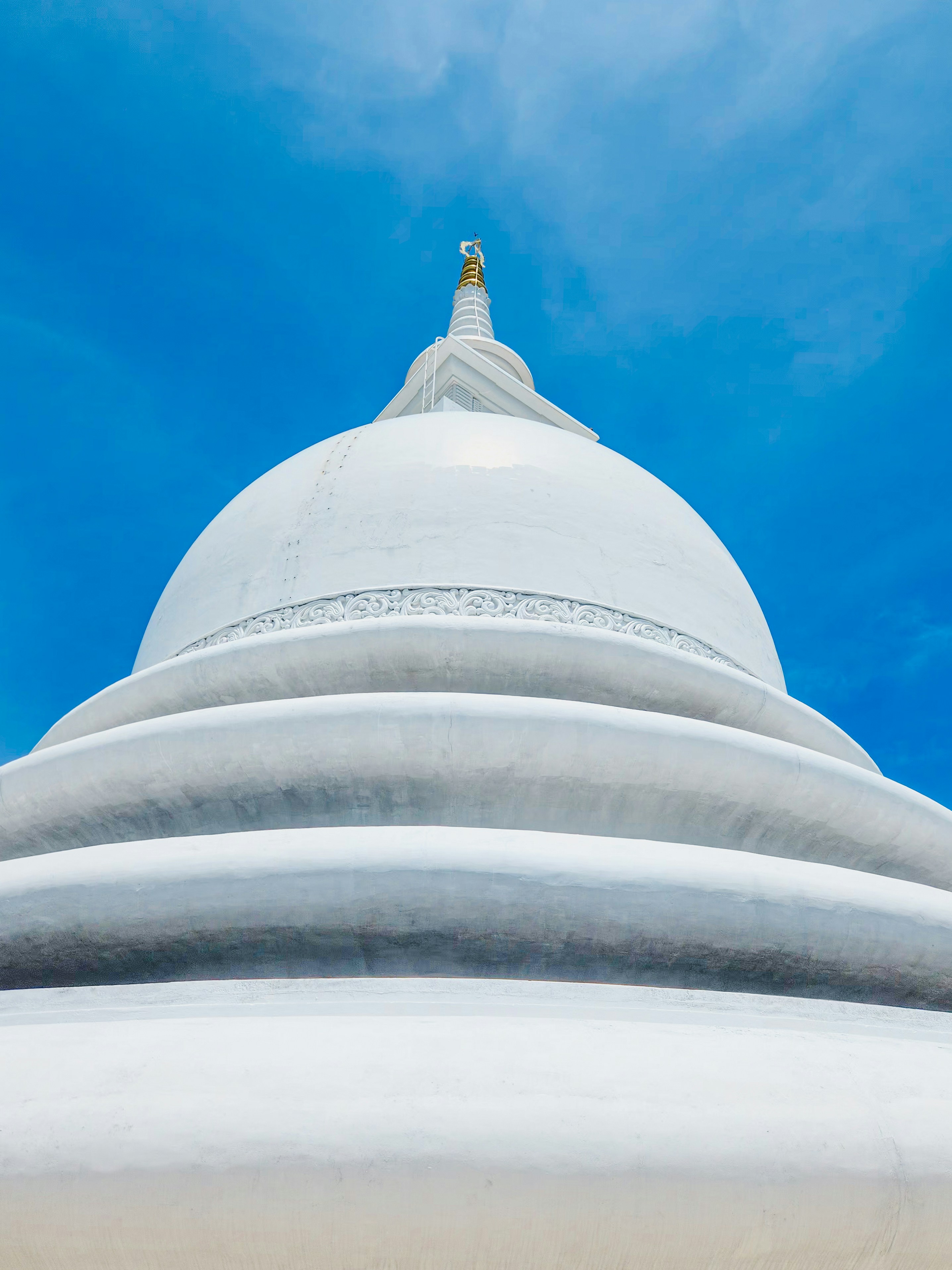 Photo by your_scorpion