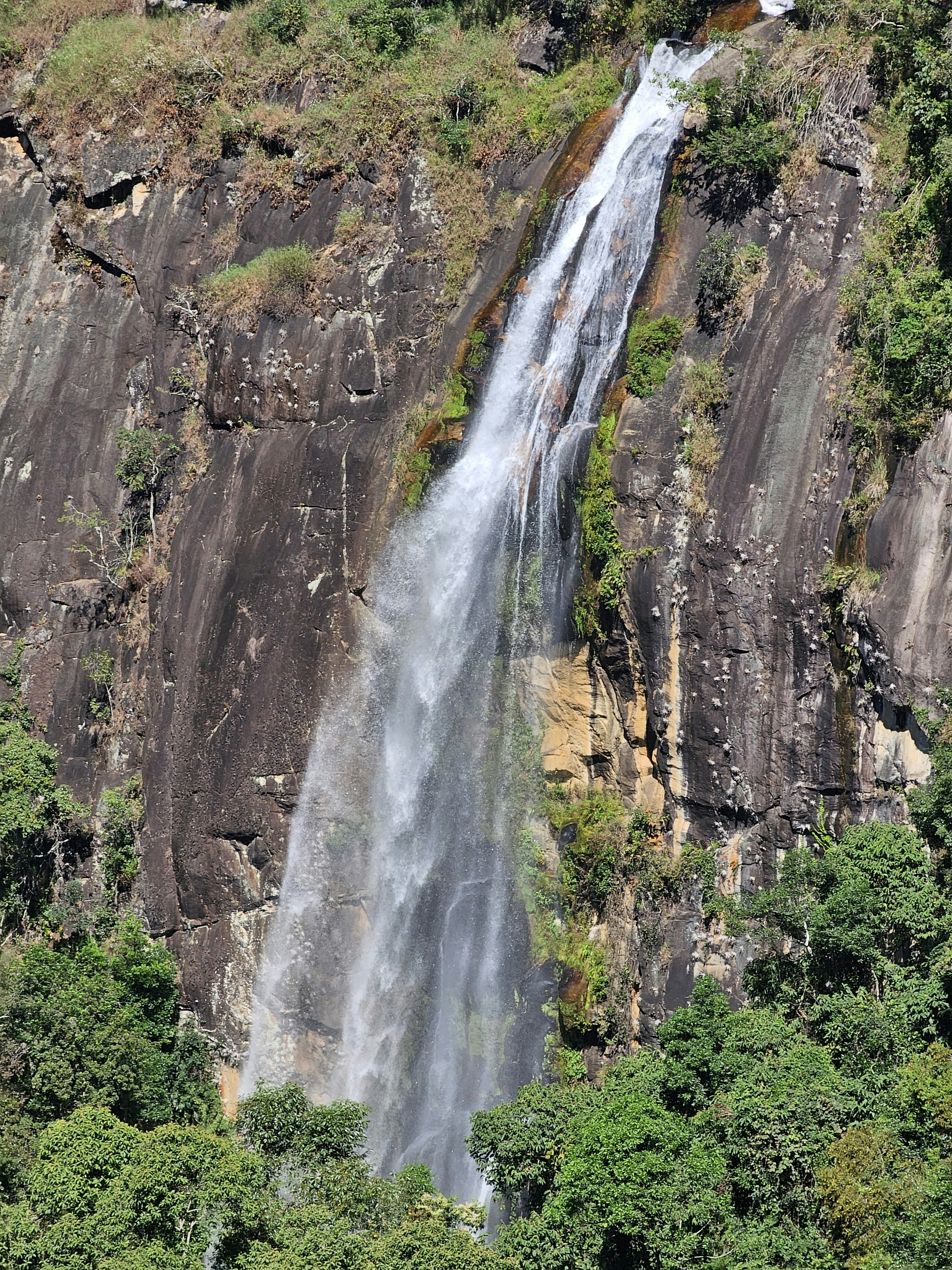 Photo by mineiro2004