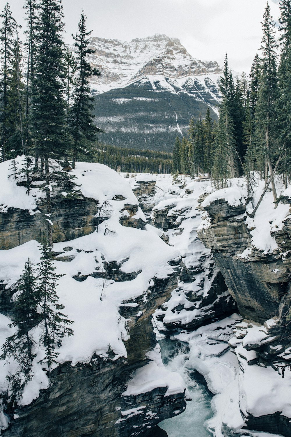 a river running through a snow covered forest