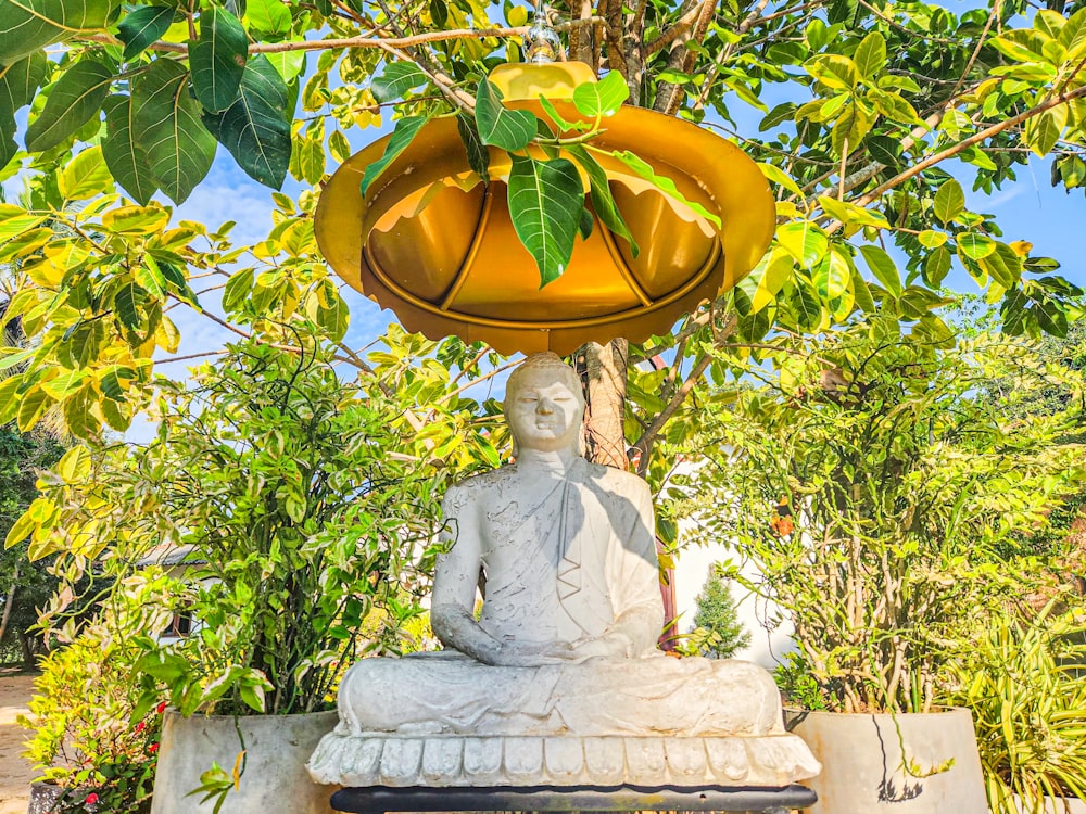 a buddha statue under a tree with a lamp on top of it