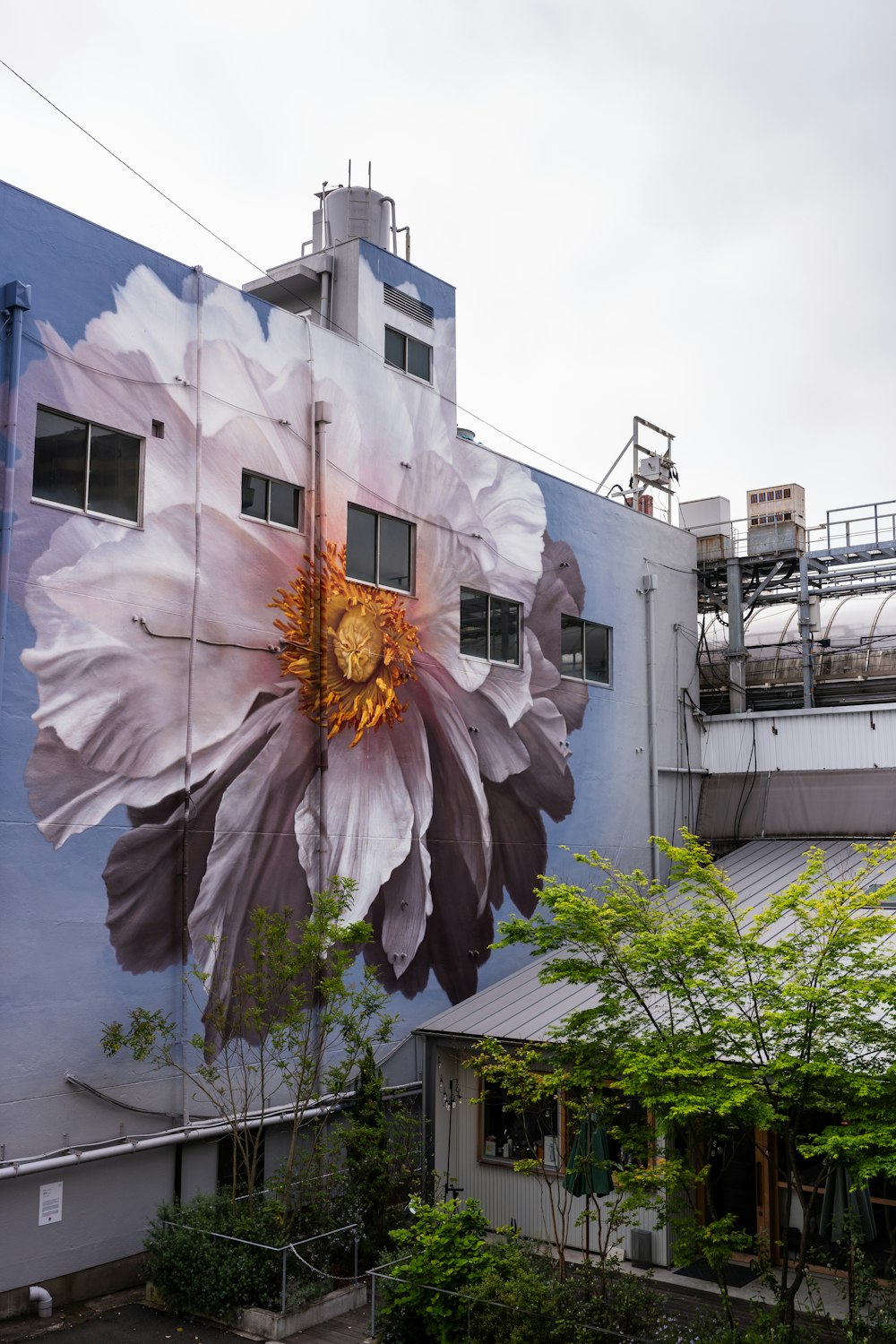 a large flower painted on the side of a building