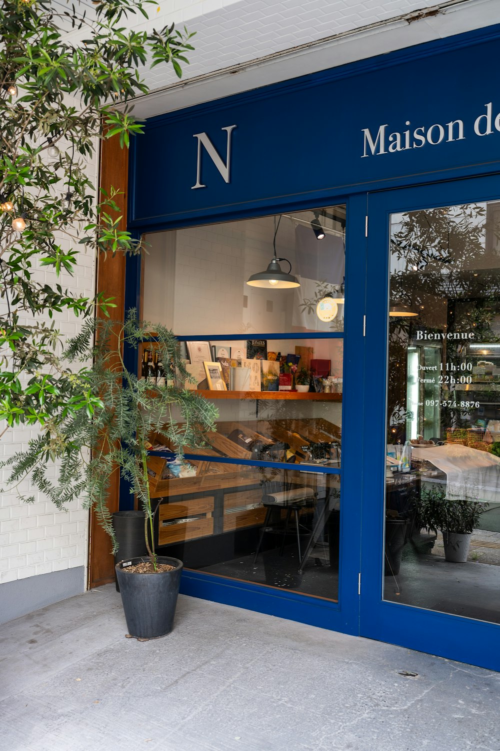 a blue store front with a potted plant in front of it