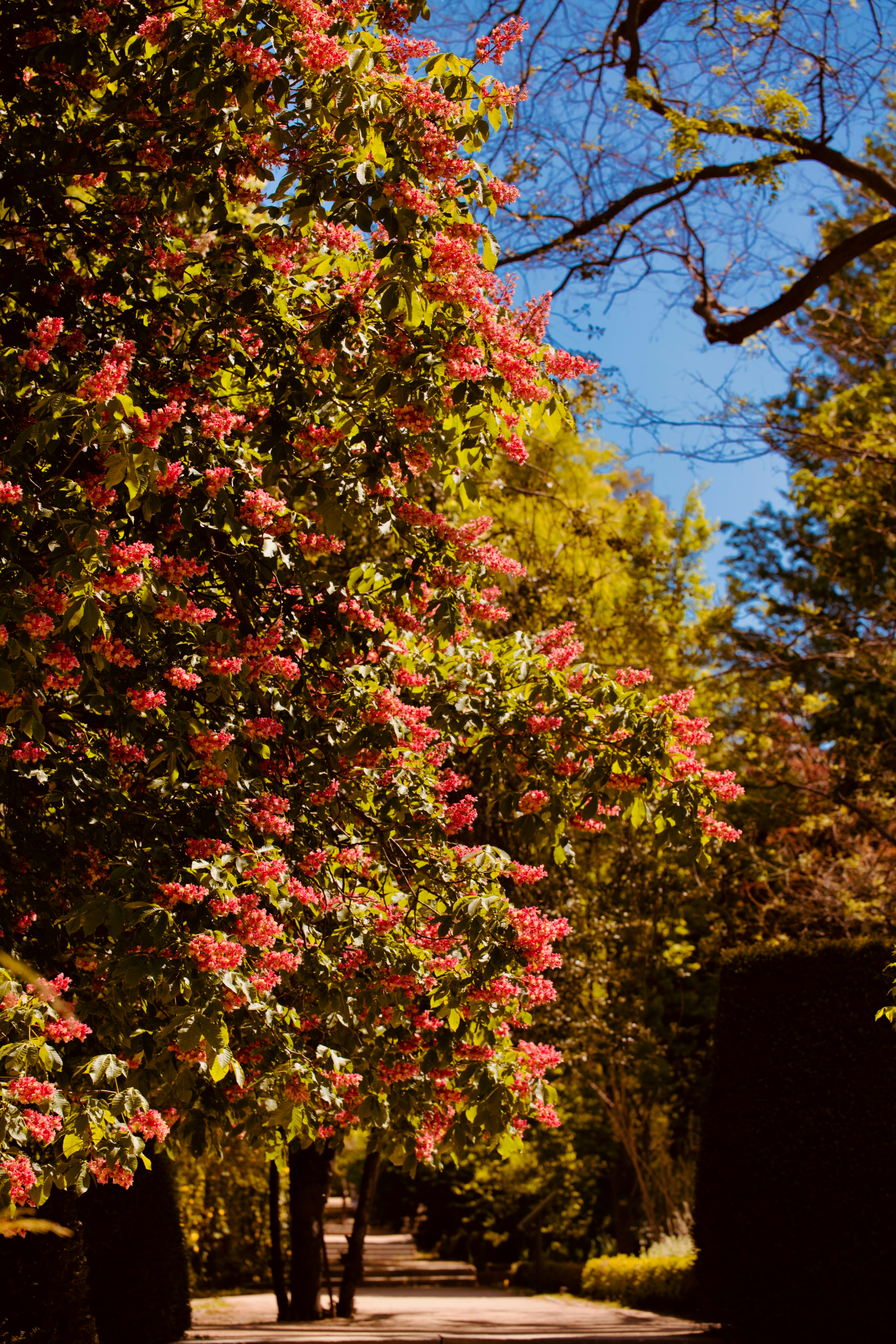 Photo by sandyonmars