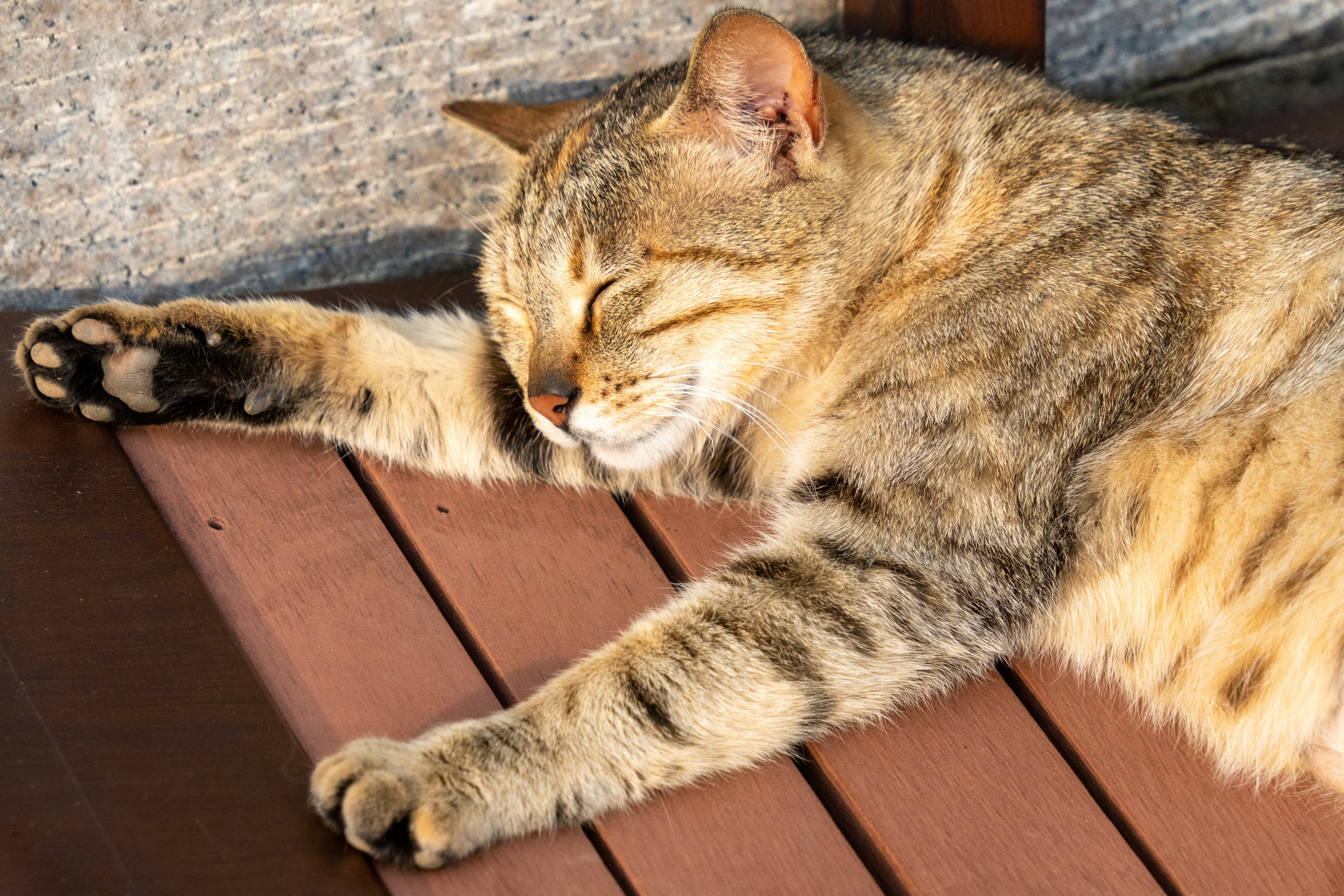 Photo by chris_pixel