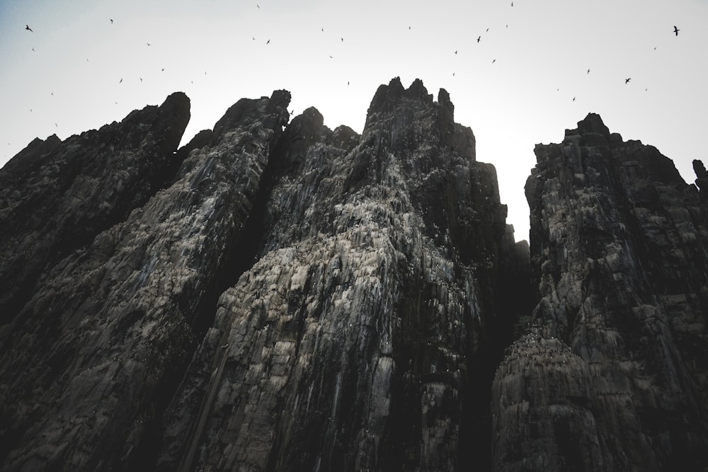 a group of birds flying over a rocky mountain