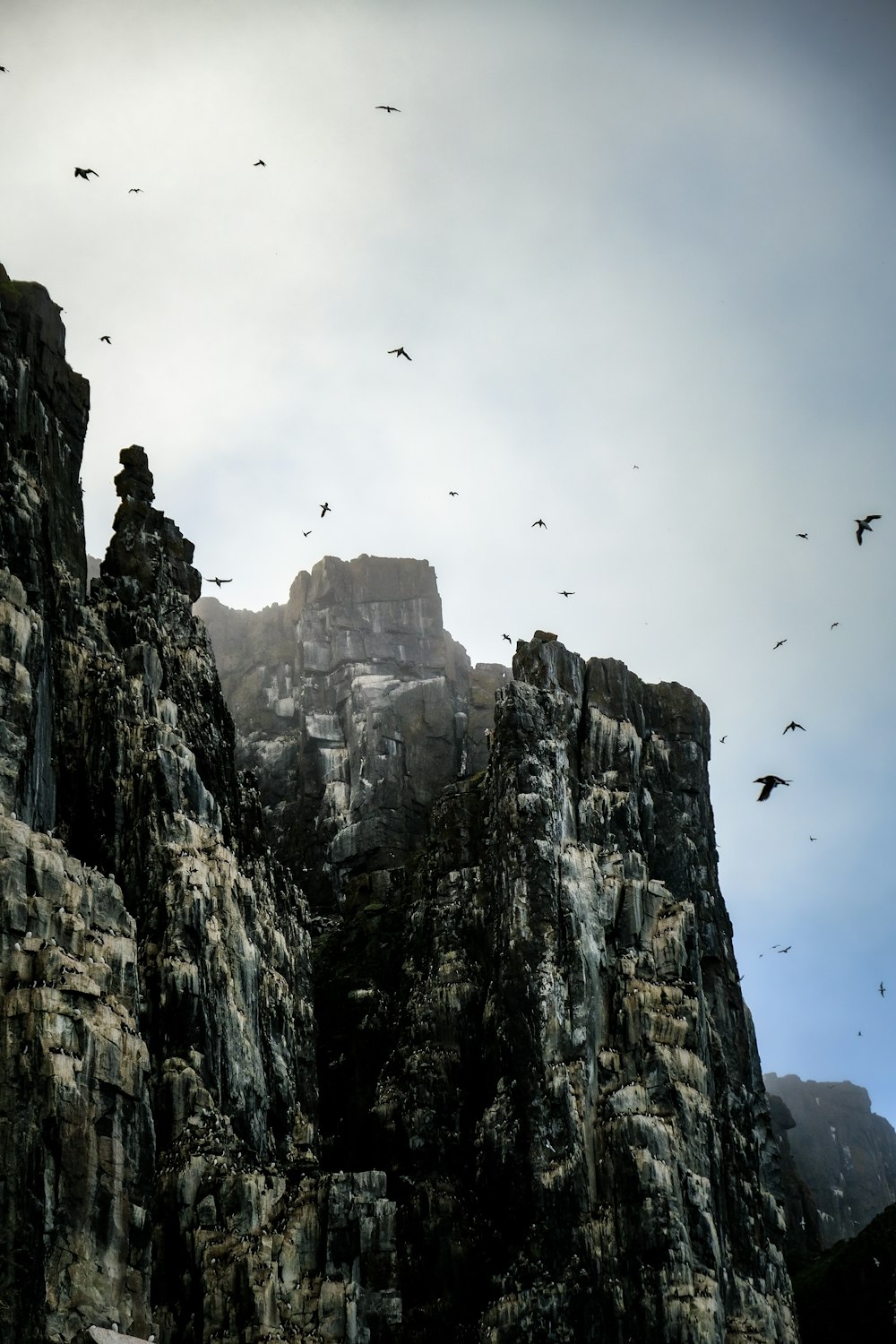 a flock of birds flying over a rocky mountain