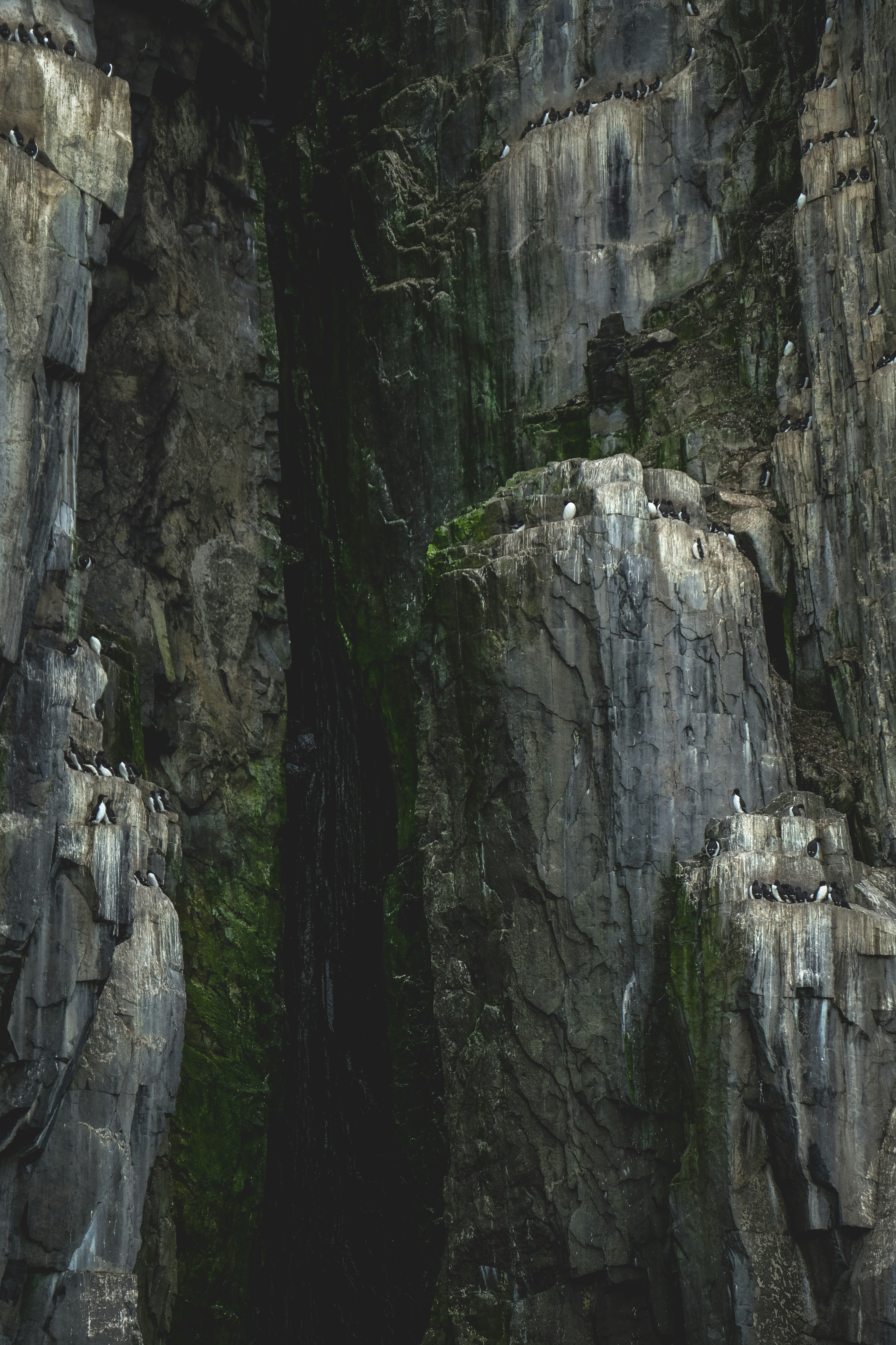 Photo by francesco_ungaro