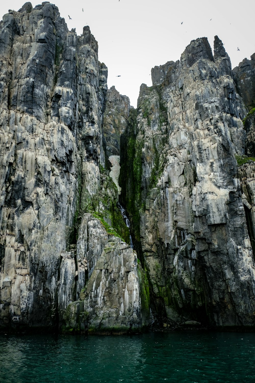 a group of birds flying over a body of water