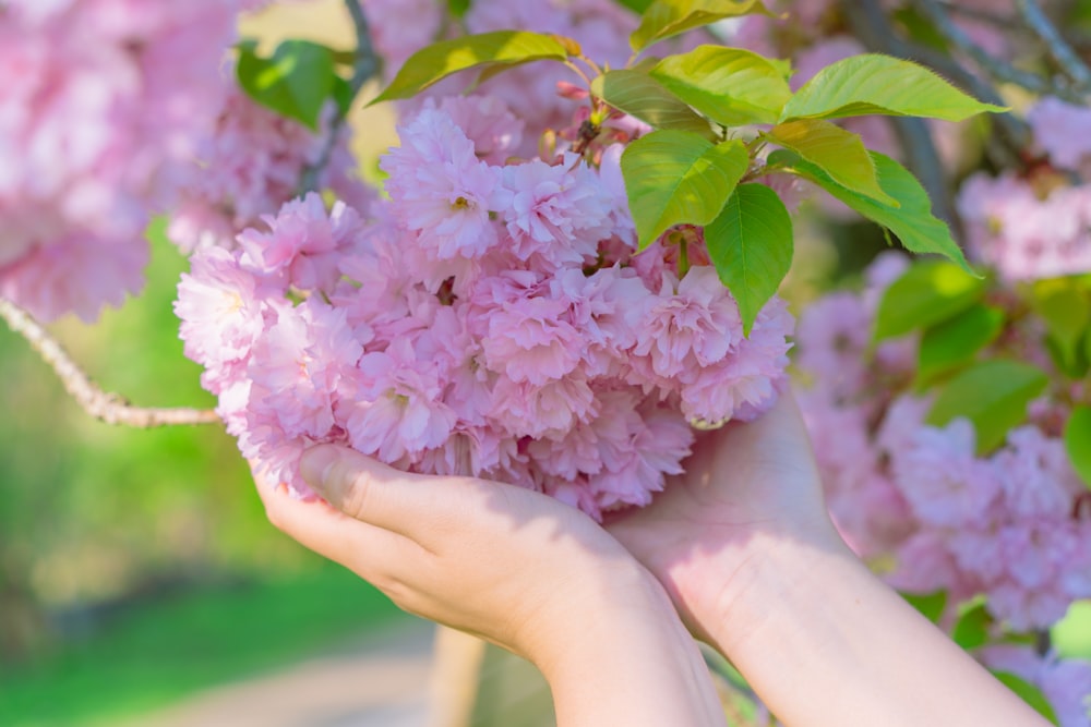 a close up of a person holding a bunch of flowers