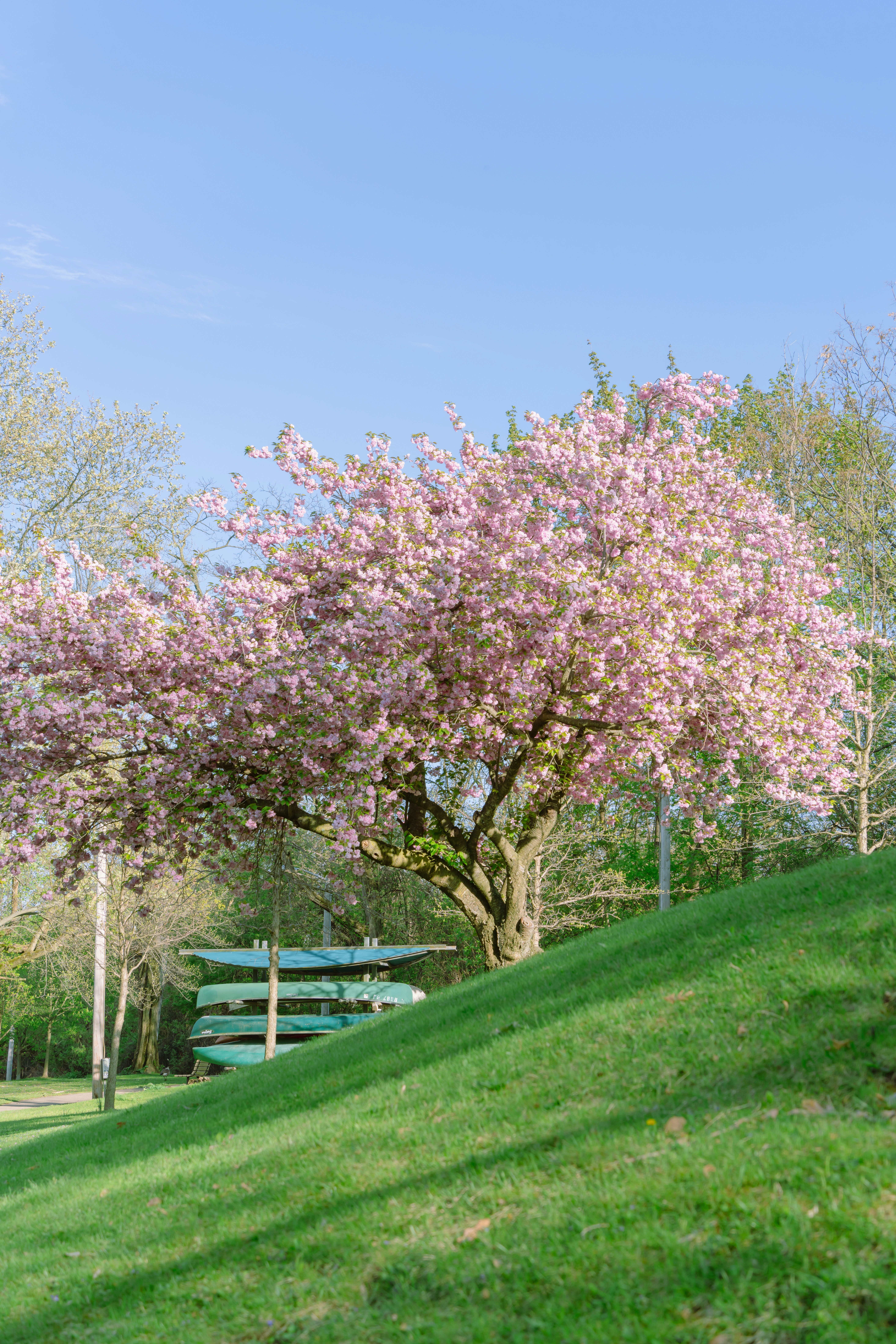 Photo by zhenyao_photo