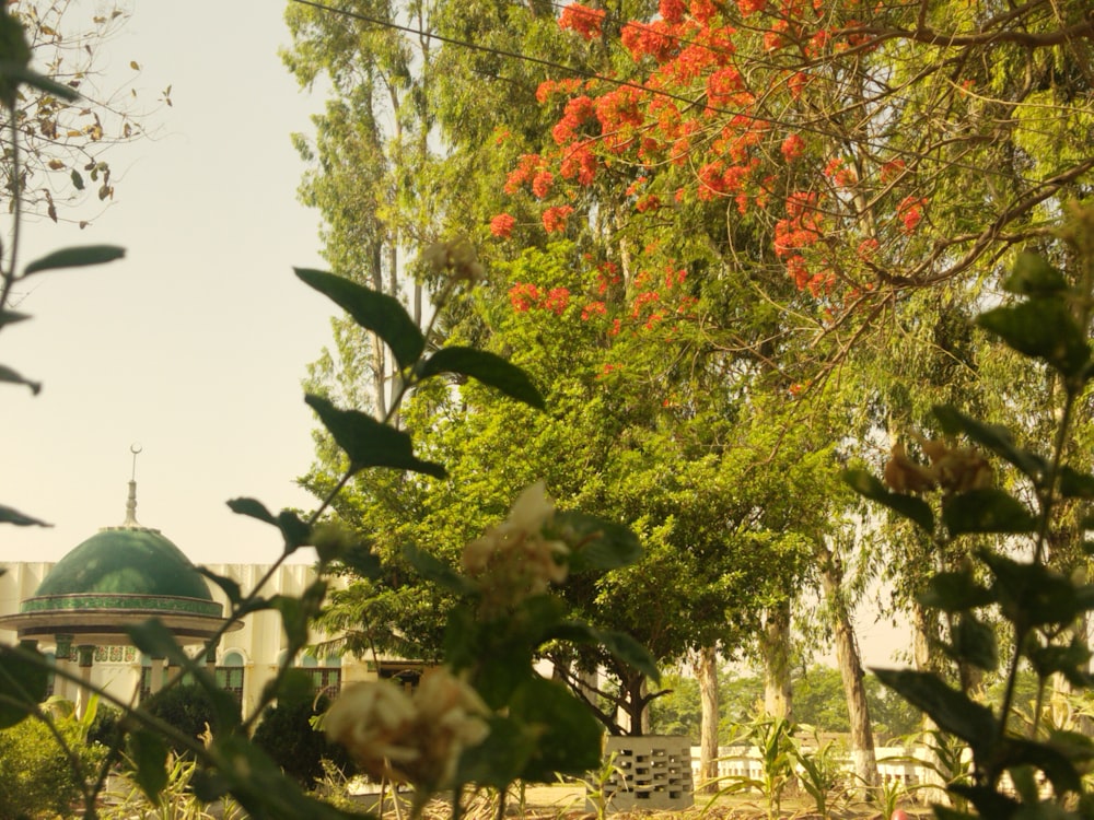 a view of a building through some trees