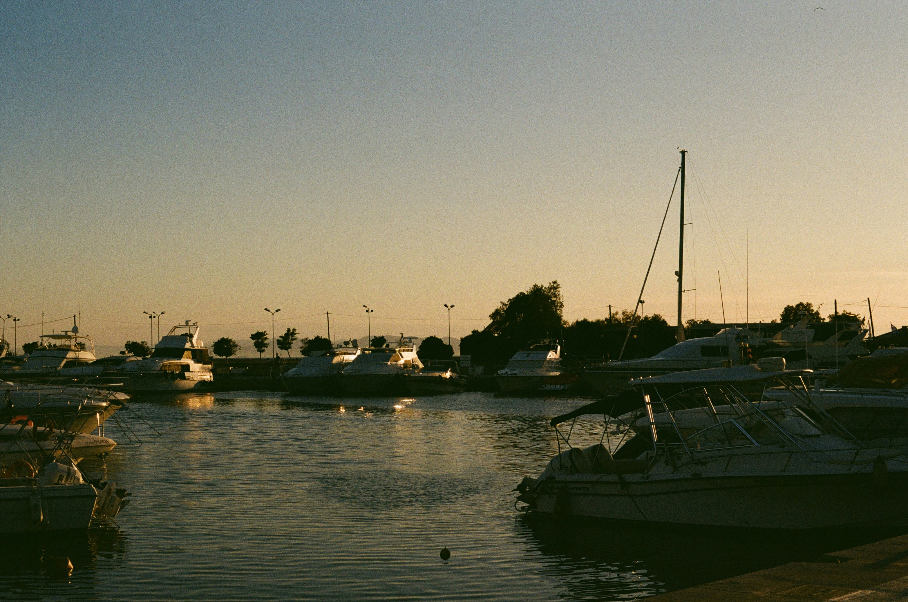 Photo by thesilvafocus