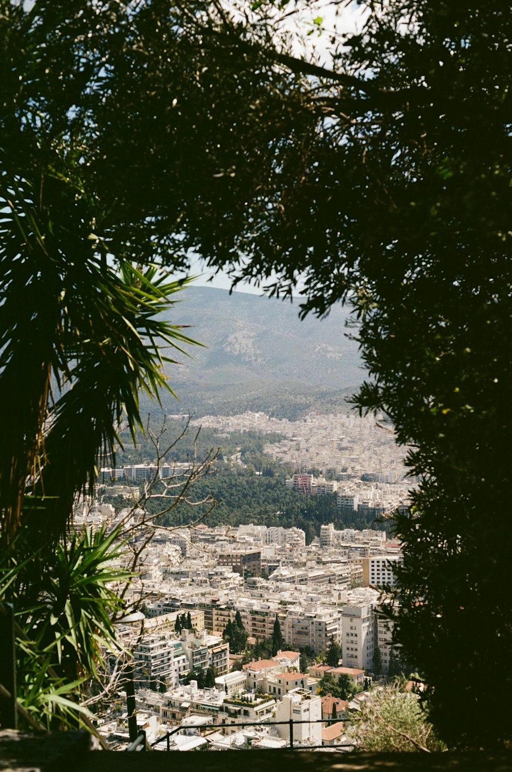 a view of a city from the top of a hill