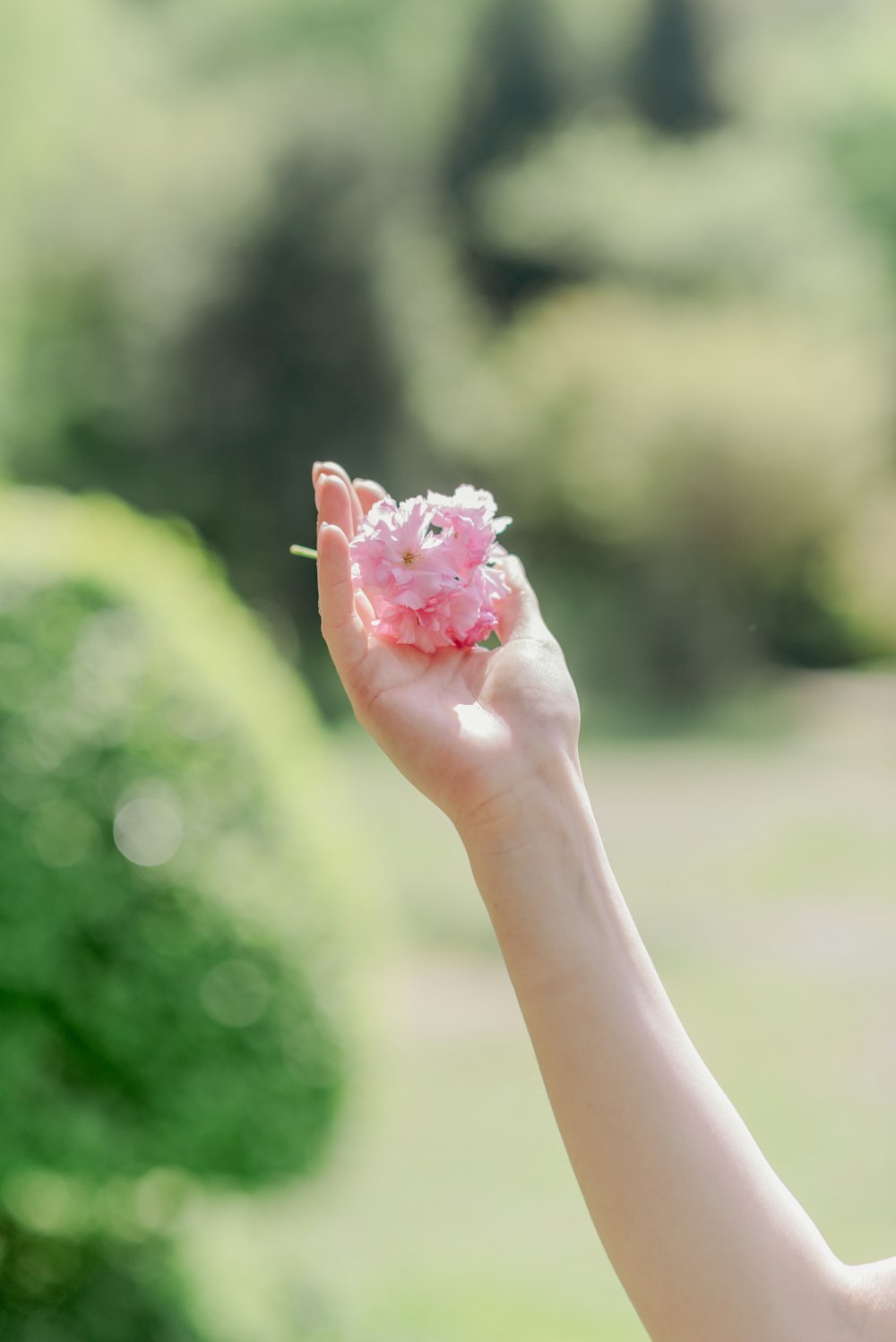 a woman holding a pink flower in her hand