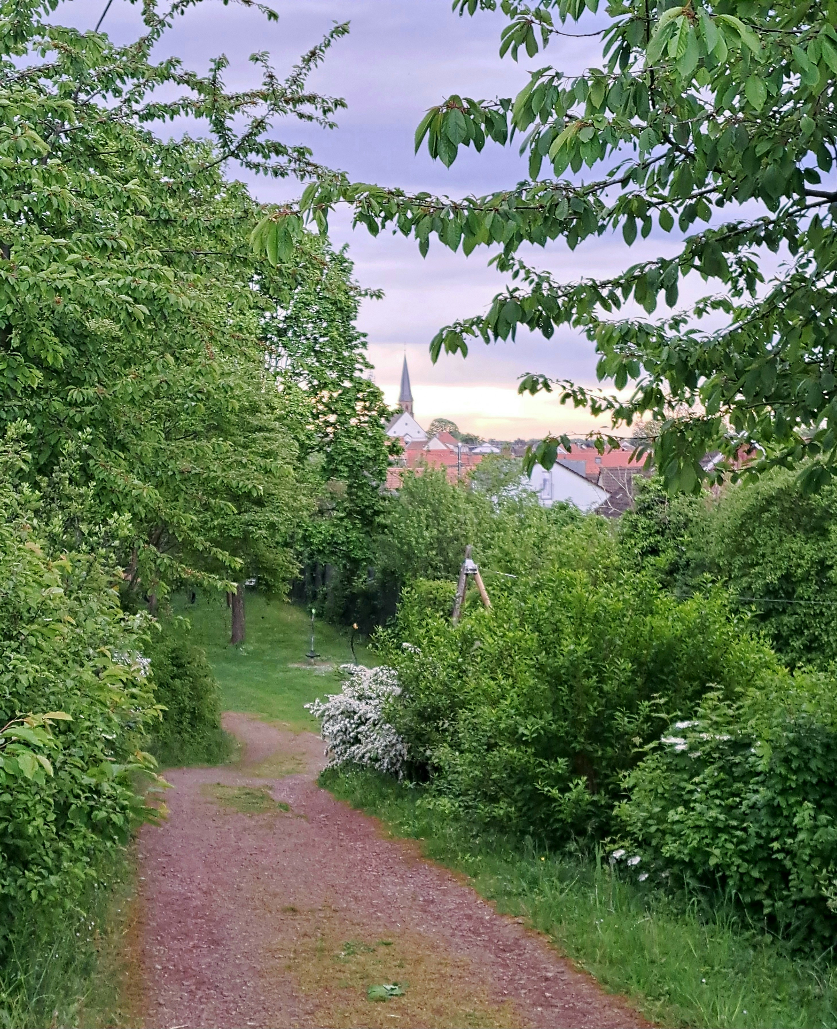 Photo by schreibmich