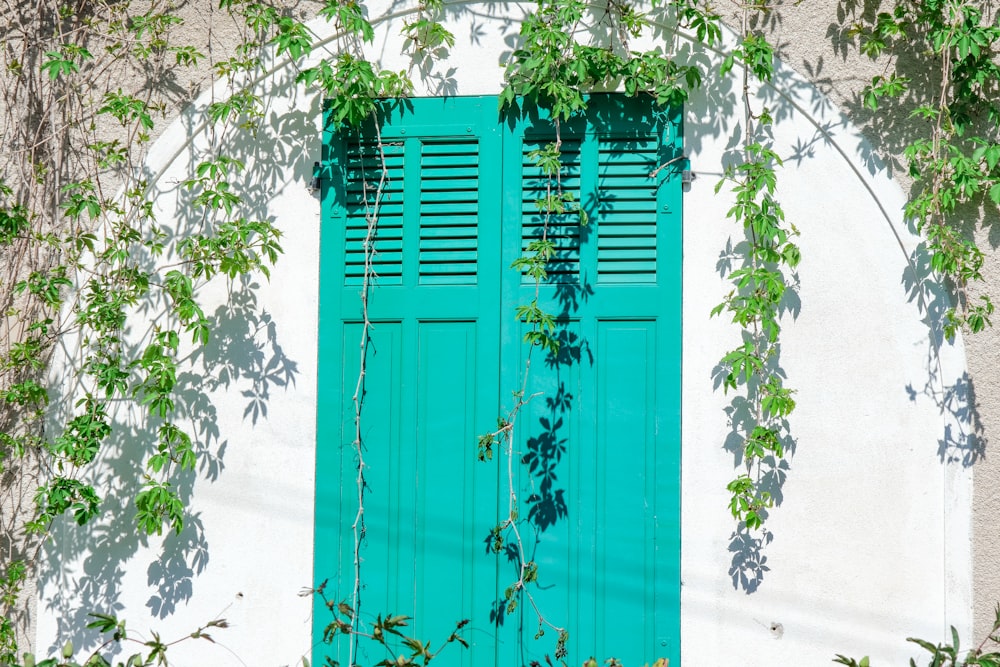 a window with green shutters and vines growing on it