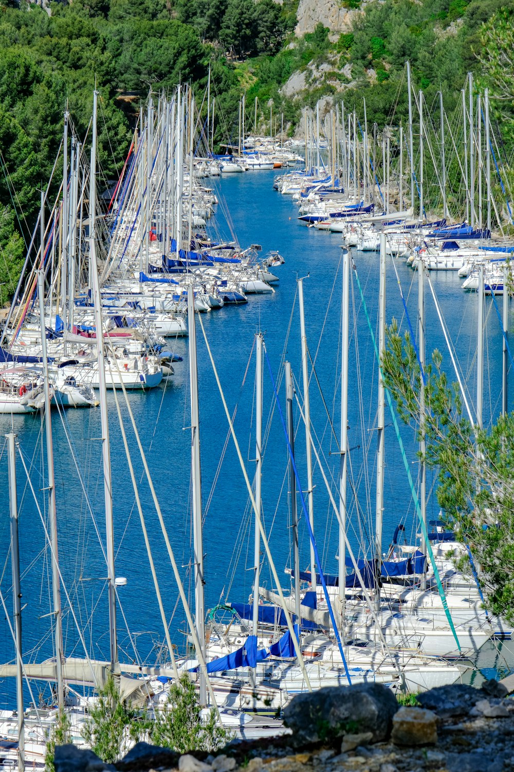 a bunch of boats that are in the water