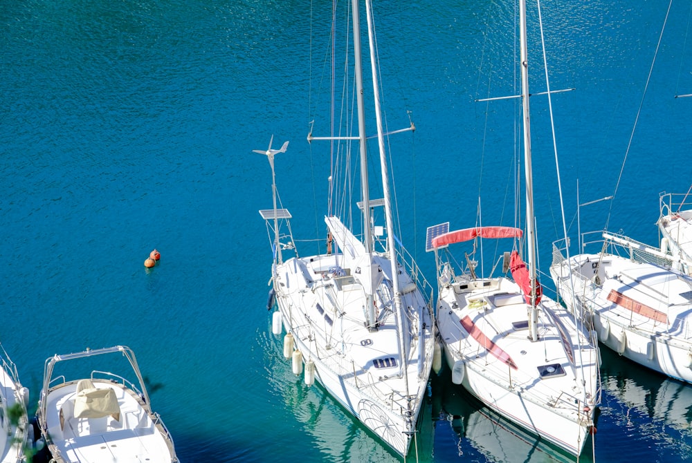 a group of sailboats are docked in the water