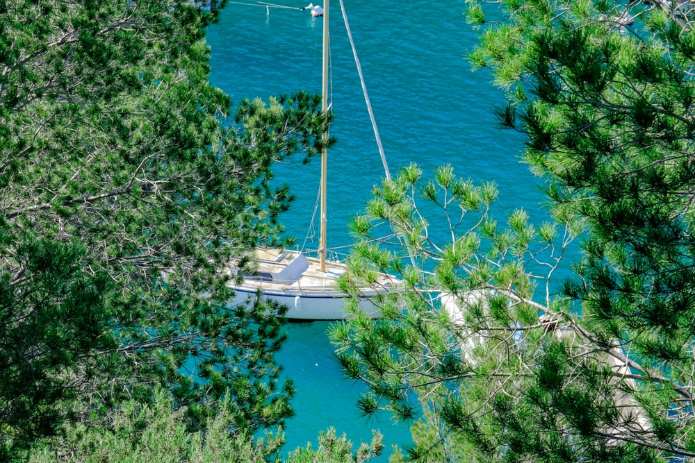 a sailboat in the water surrounded by pine trees
