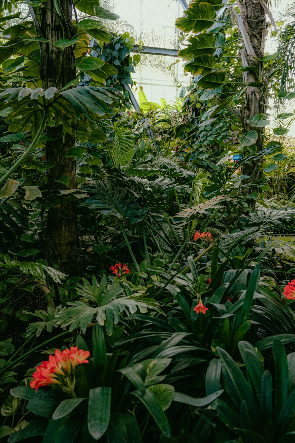 a lush green forest filled with lots of plants