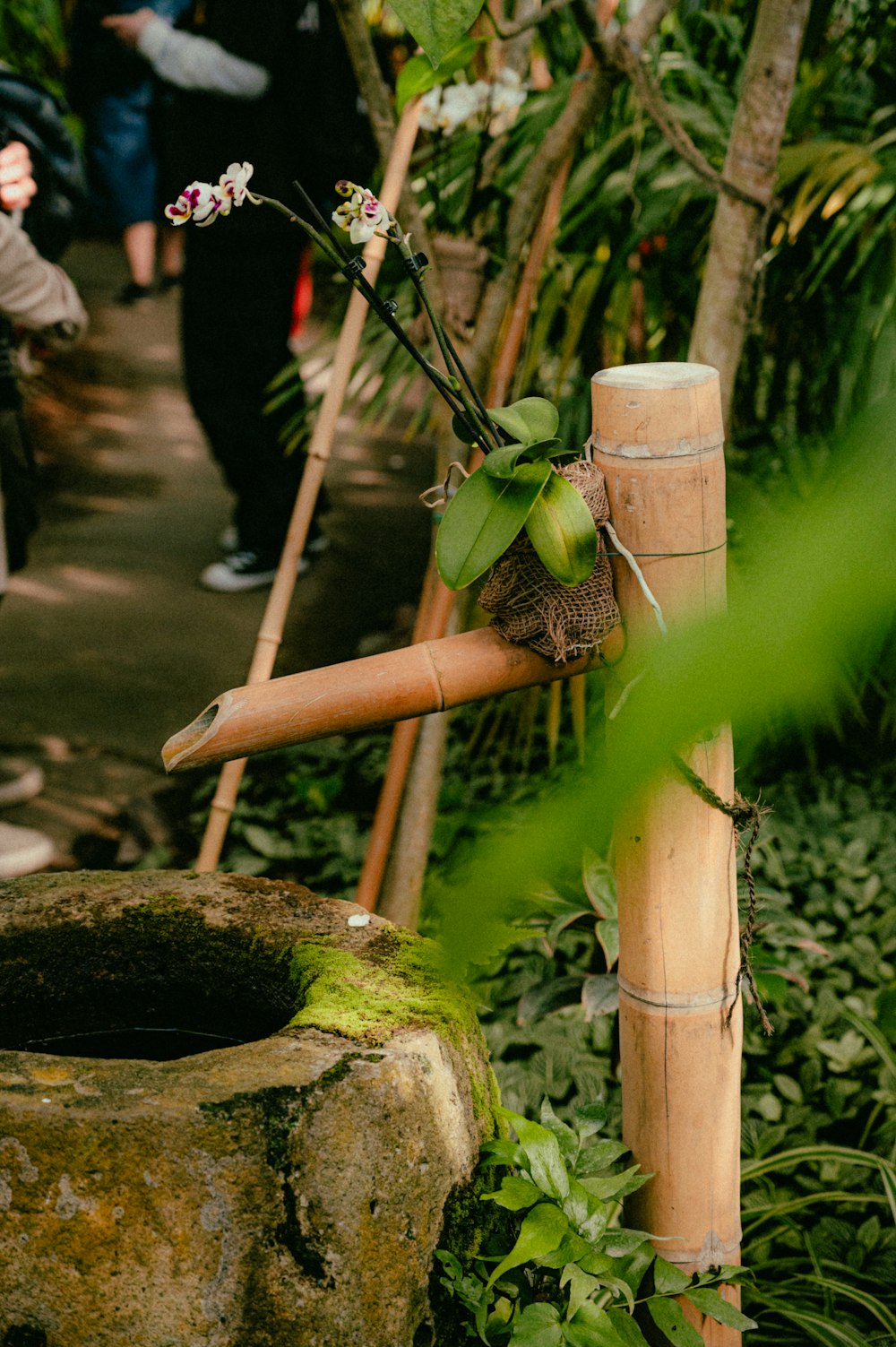 a bamboo pole with a bamboo stick sticking out of it
