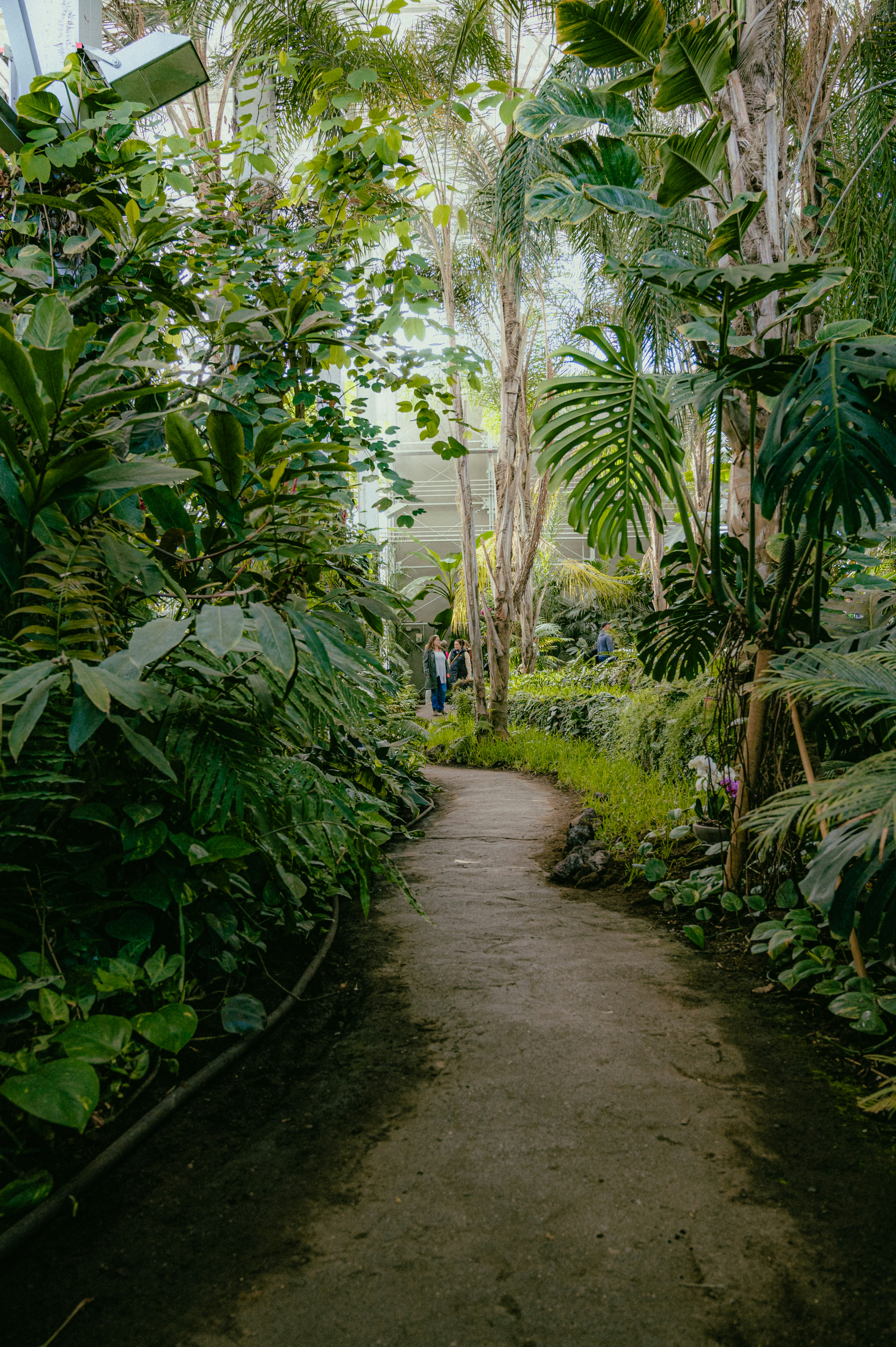 Photo by luca_severin