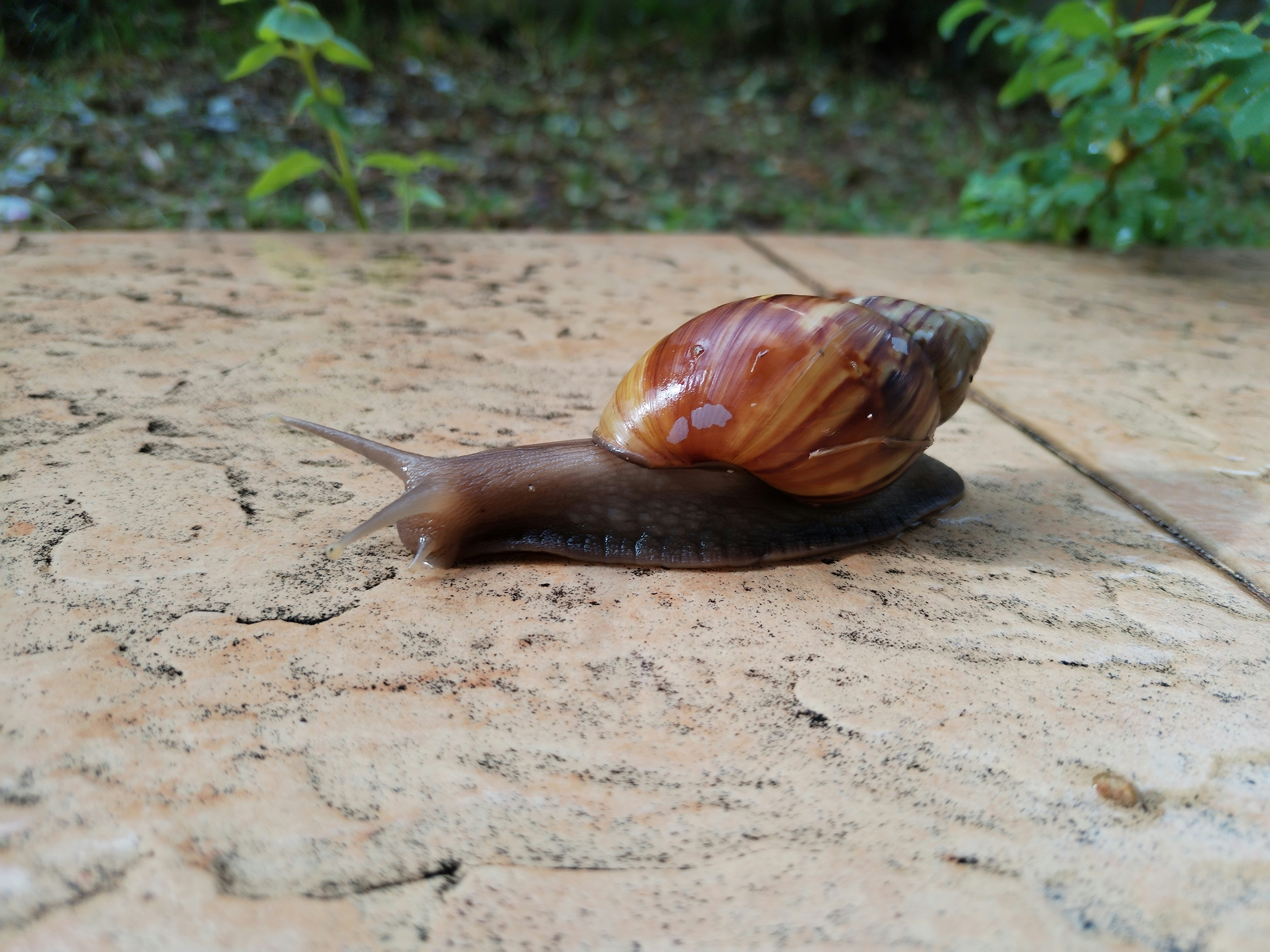 The Evolution of Web Crawling in 2026: Privacy-First Indexing and Efficiency