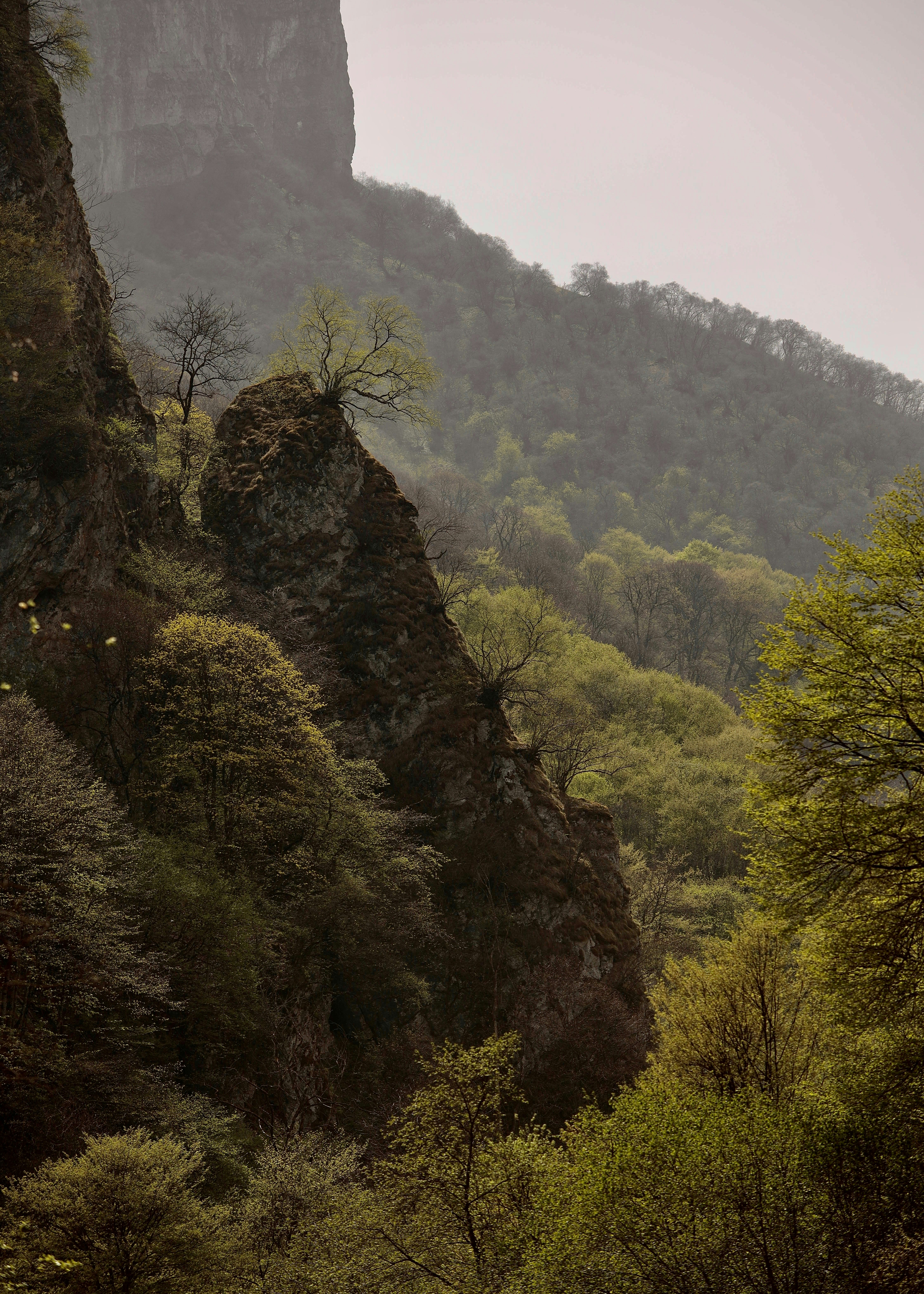 Photo by photo_zhulin